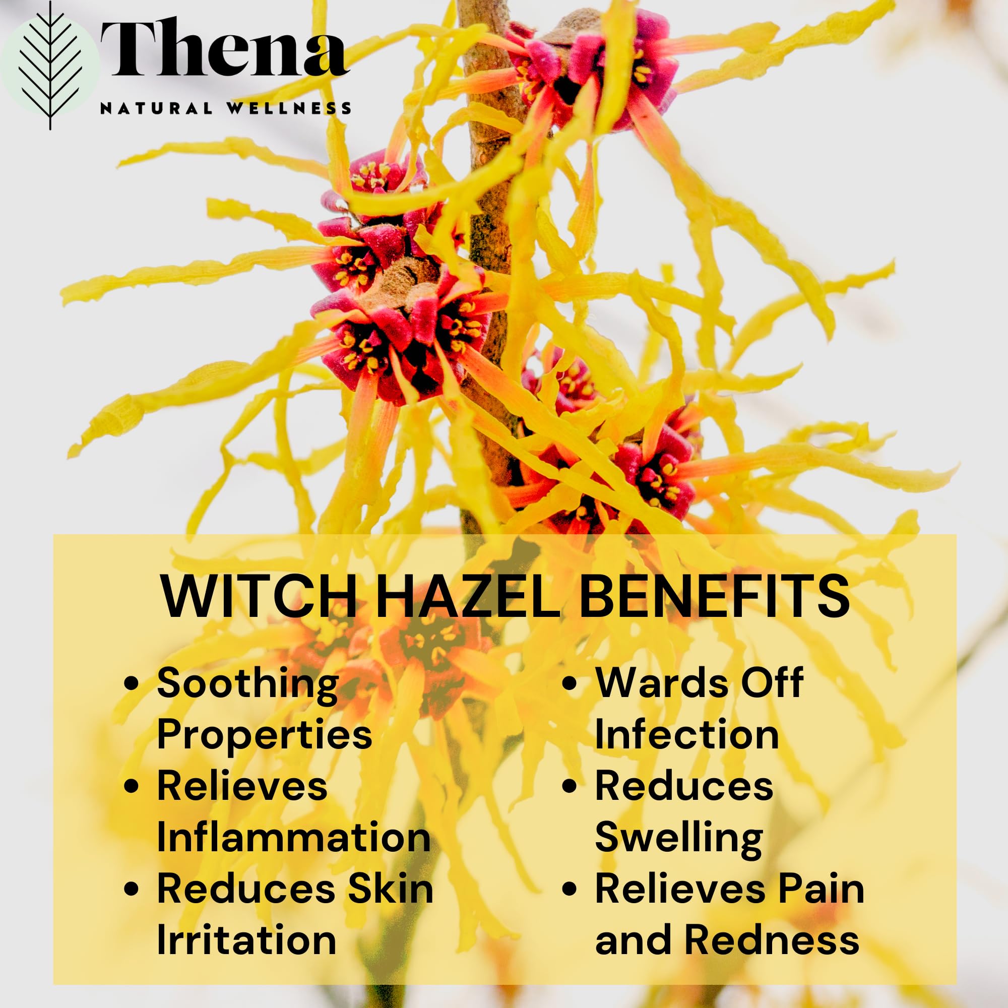 Intense Hemorrhoid Treatment Natural Hemorrhoid Relief Cream, Max Strength Herbal Anal Fissure Relief Ointment with Organic Witch Hazel for Postpartum Piles, Best with Thena Sitz Bath Soak Women Men THENA Natural Wellness Au supplements
