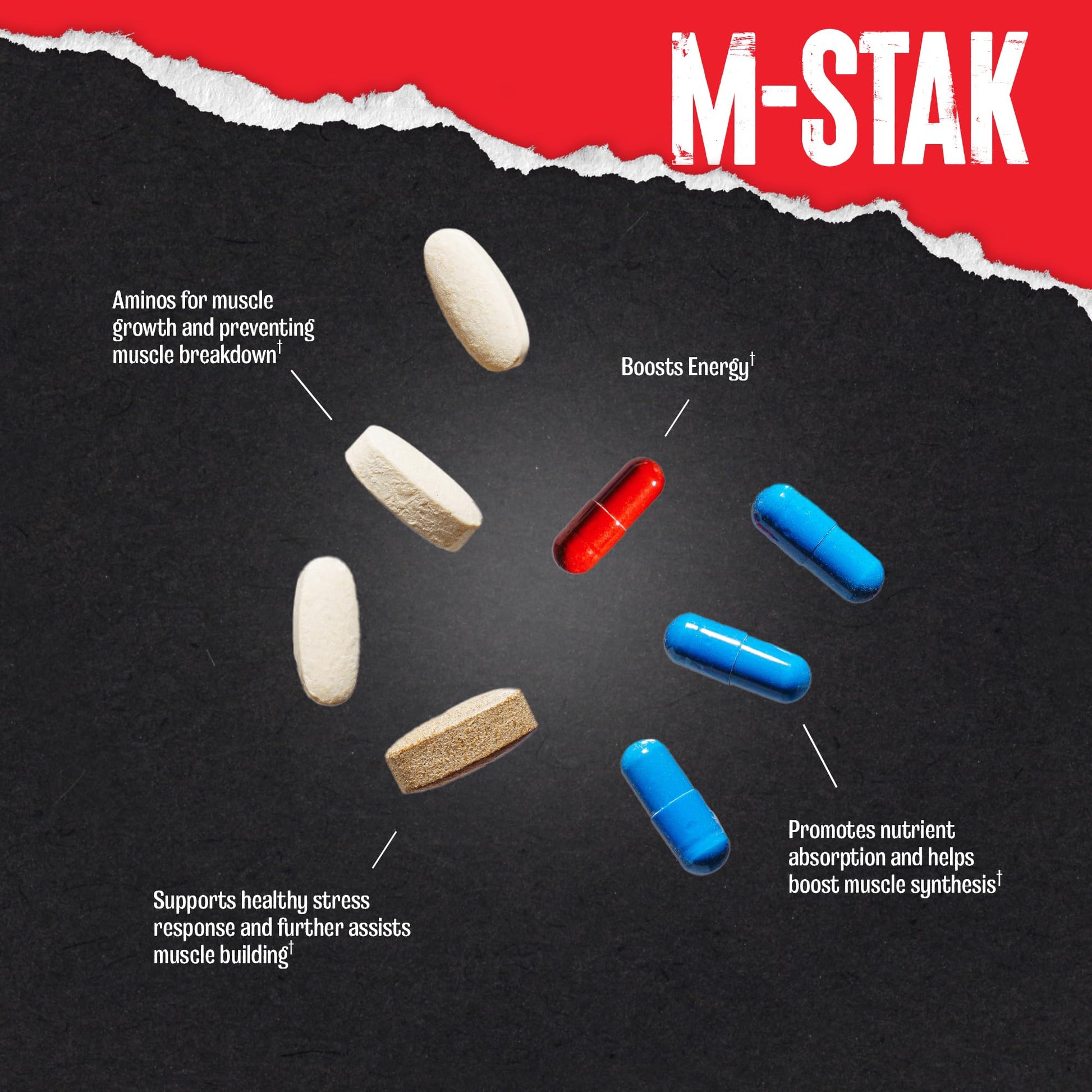 Animal M-Stak - Muscle Builder and Anabolic Mass Gainer Supplement for Bodybuilding - Lean Muscle Growth, Amino Complex and Pre Workout Energy, 21 Packs Animal Au supplements