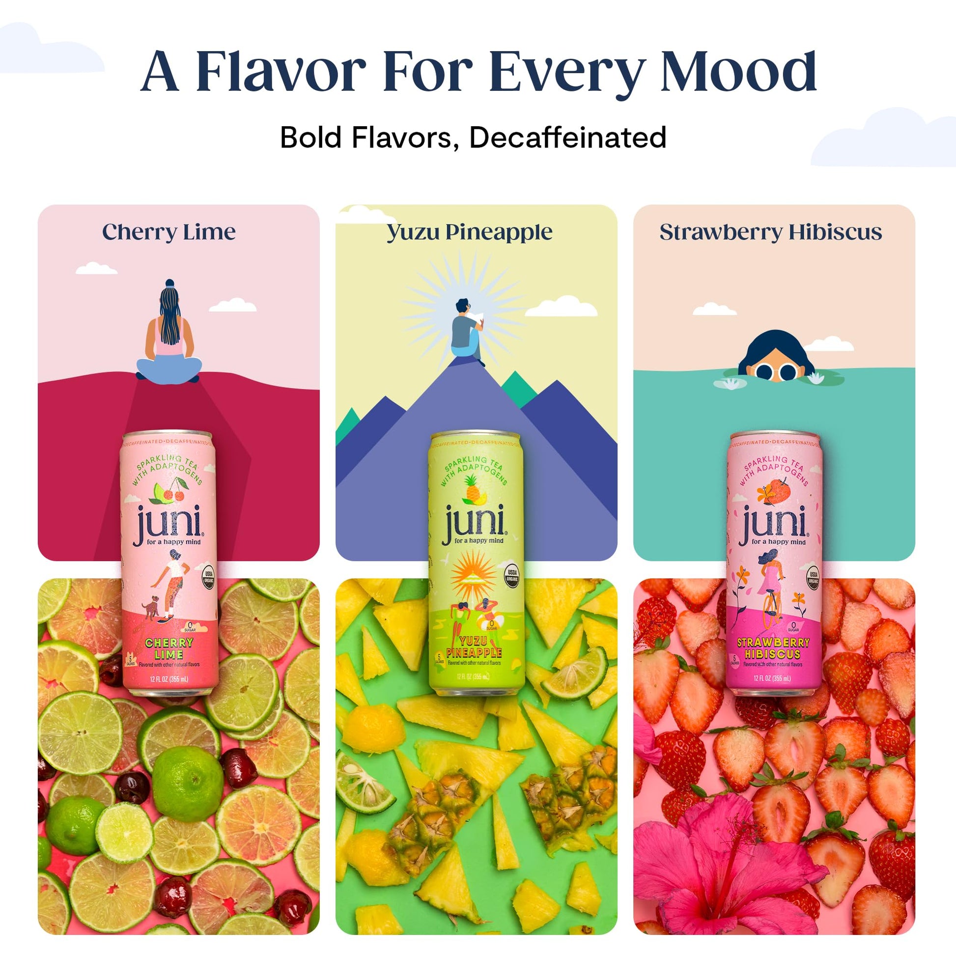 Juni Sparkling Adaptogen Drink with Ashwagandha, Lion’s Mane & Reishi Mushrooms | Green Tea for Focus, Zero Sugar, 5 Calories | Decaffeinated, Non Alcoholic Drinks - Strawberry Hibiscus 12 pack JUNI buy supplements Au
