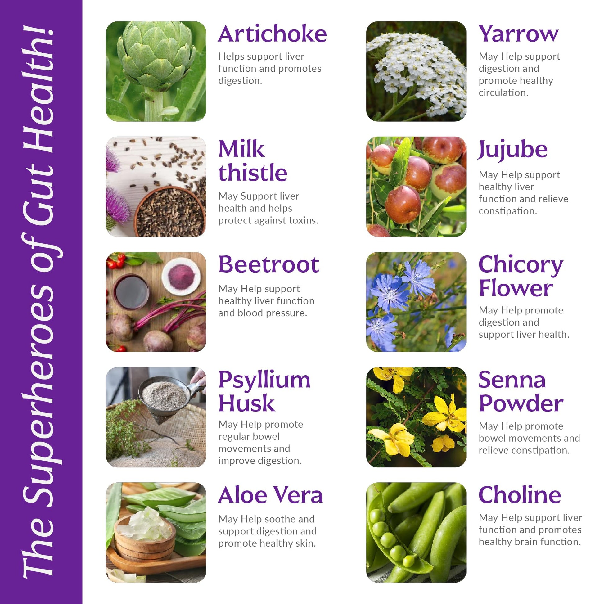 Liver Cleanse Detox & Repair with Colon Cleanse - Milk Thistle, Dandelion Root, Psyllium Husk Fiber Nutreb Au supplements