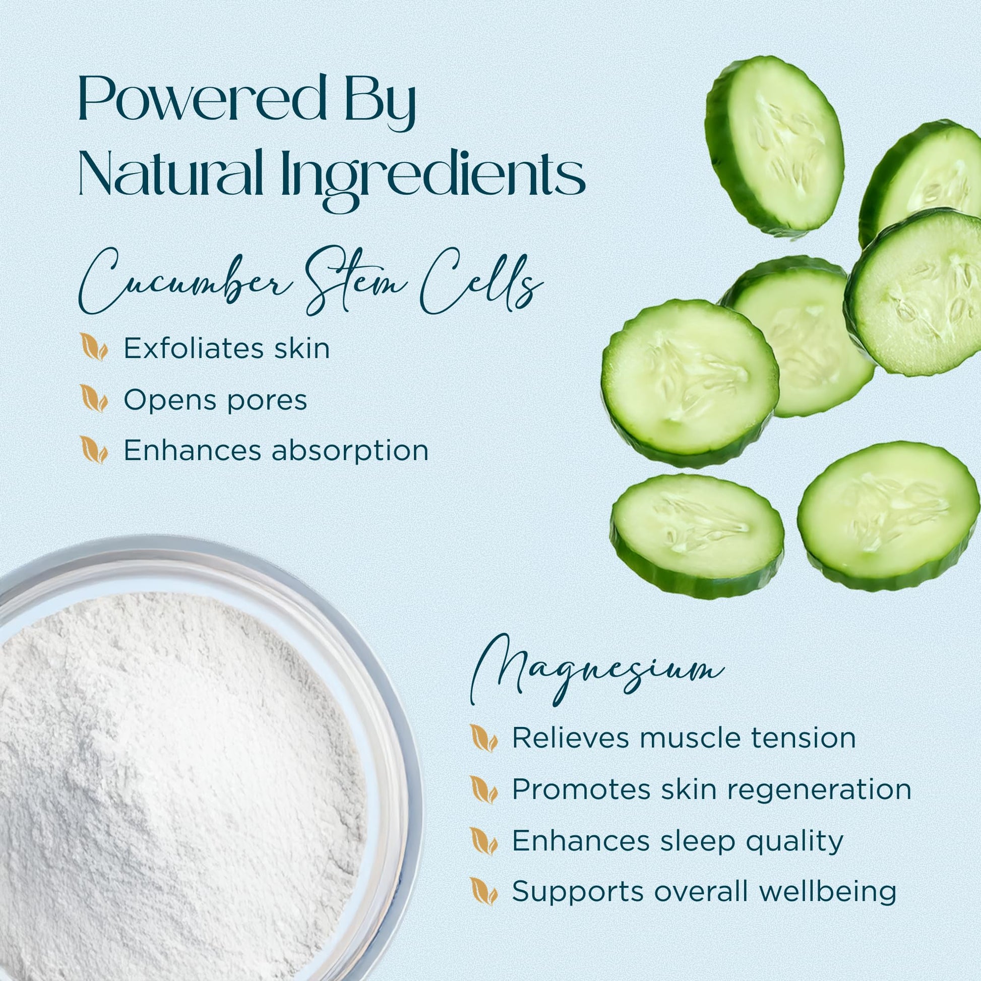 Abundant Natural Health MAG I.C. Magnesium Gel with Cucumber Stem Cells - Fast Muscle Relief, Soothing, Stingless, Safe for Sensitive Skin, Fragrance-Free, 200mL Abundant Natural Health Au supplements