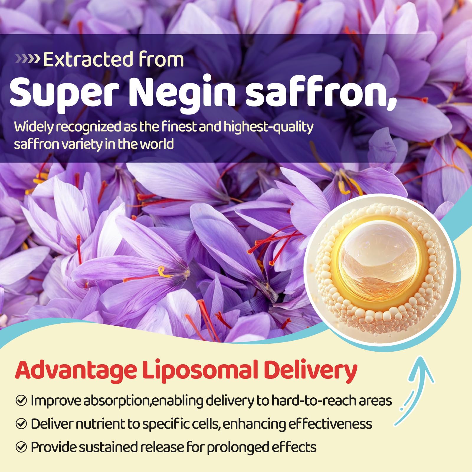 Liposomal Saffron Gummies for Kids 4+, Saffron Supplements w/Holy Basil, Rosemary, Magnesium Glycinate, Omega-3 & More, Brain Focus Support Supplement, Vegan, Organic, Sugar Free, 60 Chewables duwhot Au supplements