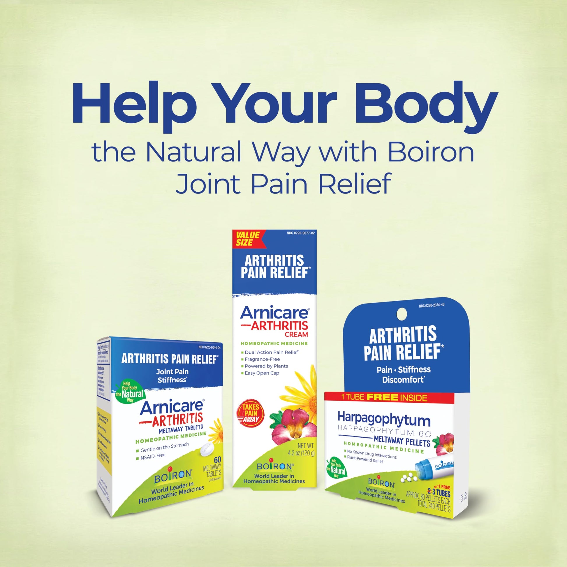 Boiron Arnicare Arthritis Cream Pump for Pain Relief of Knees, Hands, Wrists, Elbows, Joints & Muscles – Quickly Absorbed & Fragrance-Free – 4.2 oz Boiron Au supplements