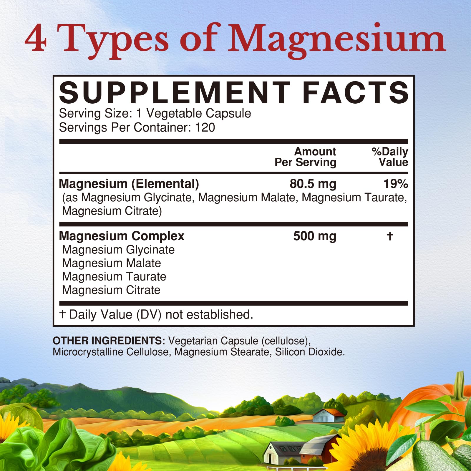 Vitalitown Magnesium Complex Supplement 500mg - NSF Certified Magnesium Glycinate, Malate, Taurate & Citrate - Chelated High Absorption & Gentle on Stomach - Vegan Non-GMO 120 Capsules VITALITOWN Au supplements