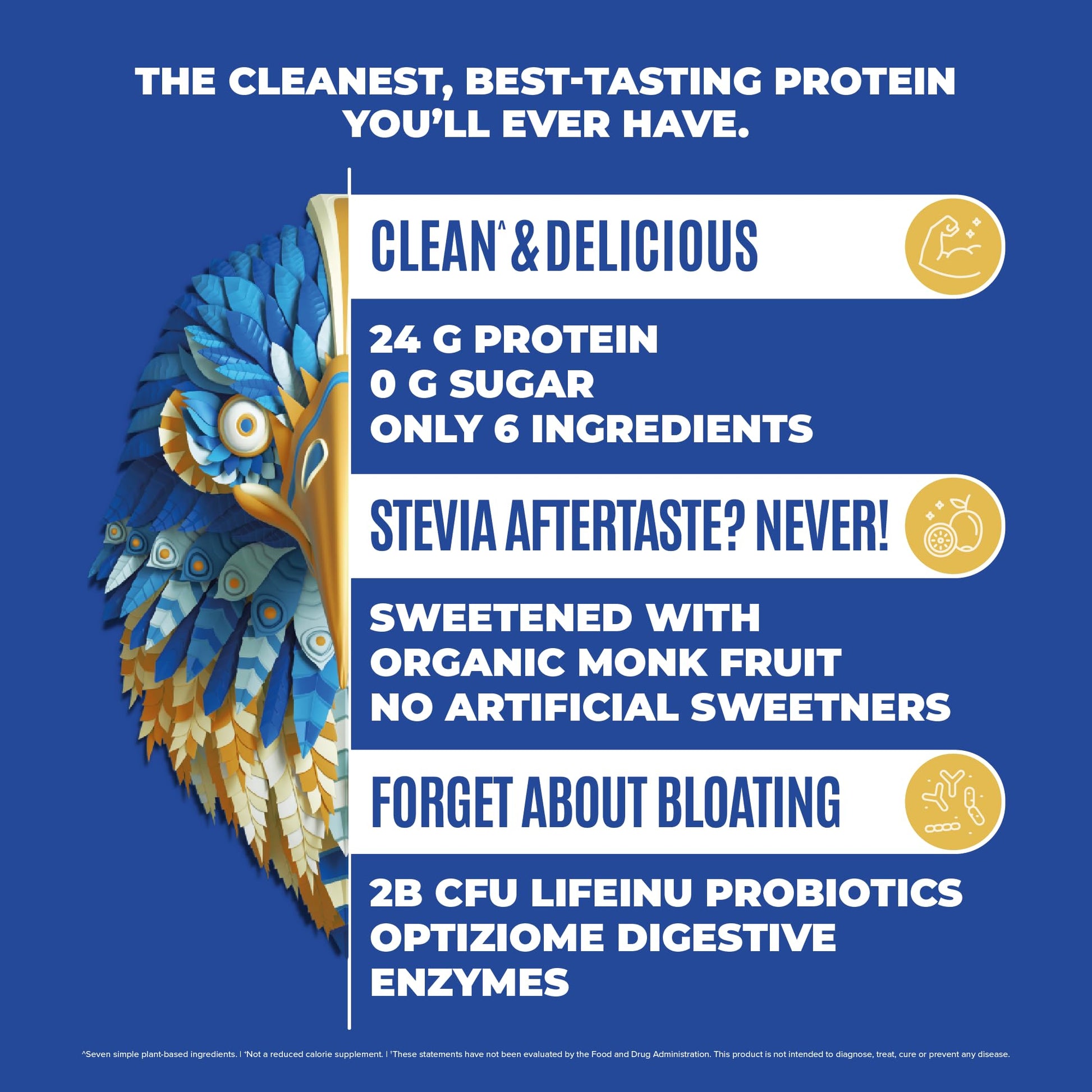 BIRDMAN Falcon Vegan Protein Powder Organic, Stevia & Sugar Free, Plant Based Protein BIRDMAN Au supplements