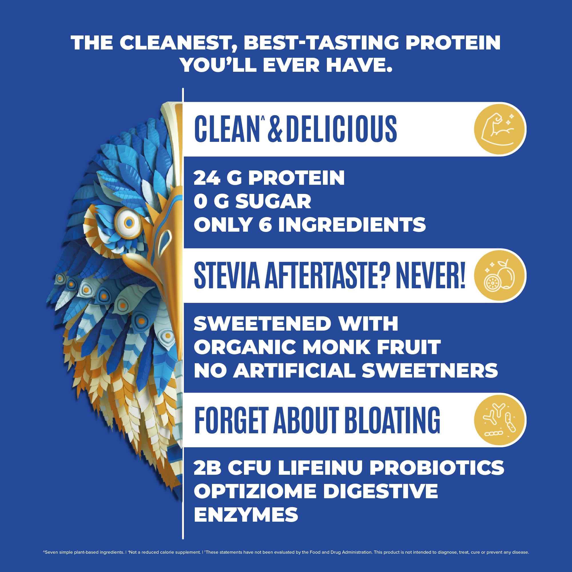 BIRDMAN Falcon Vegan Protein Powder Organic, Stevia & Sugar Free, Plant Based Protein BIRDMAN Au supplements