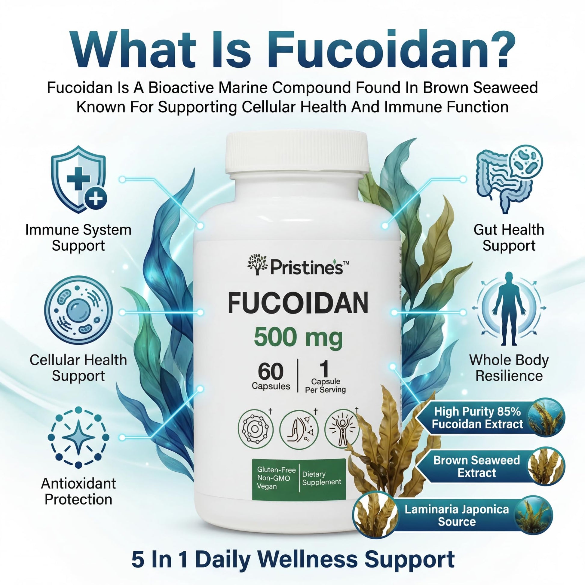 PRISTINE'S Fucoidan 500MG Immunity Supplement Capsules - 60 Day Supply - Brown Seaweed Extract - Potent Herbal Antioxidant Lung Health & Skin Health Support PRISTINE'S Au supplements