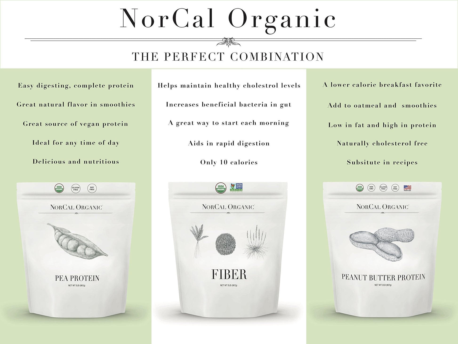 Norcal Organic Peanut Butter Protein Powder - 2lb | Vegan, Low-Cal, 11g Protein NorCal Organic Au supplements