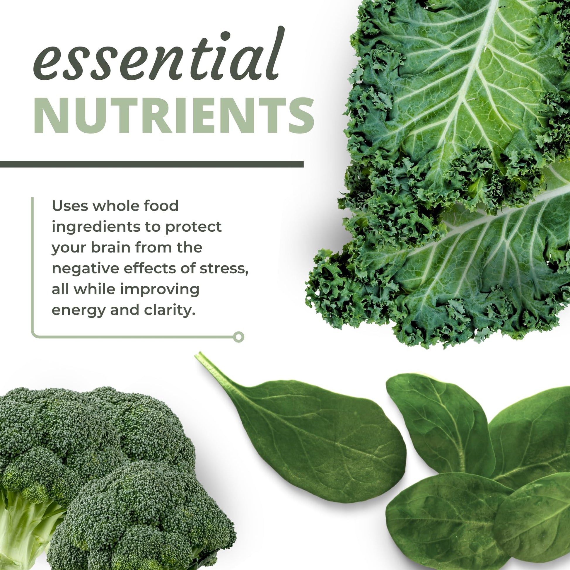 Optimal Health Systems NADH + DIM | Dr. Harris Essentials | Energy + Neurotransmitter Support | Plant-Based | Mental Clarity, Concentration, & Memory Supplement | 30 Capsules Optimal Health Systems Au supplements