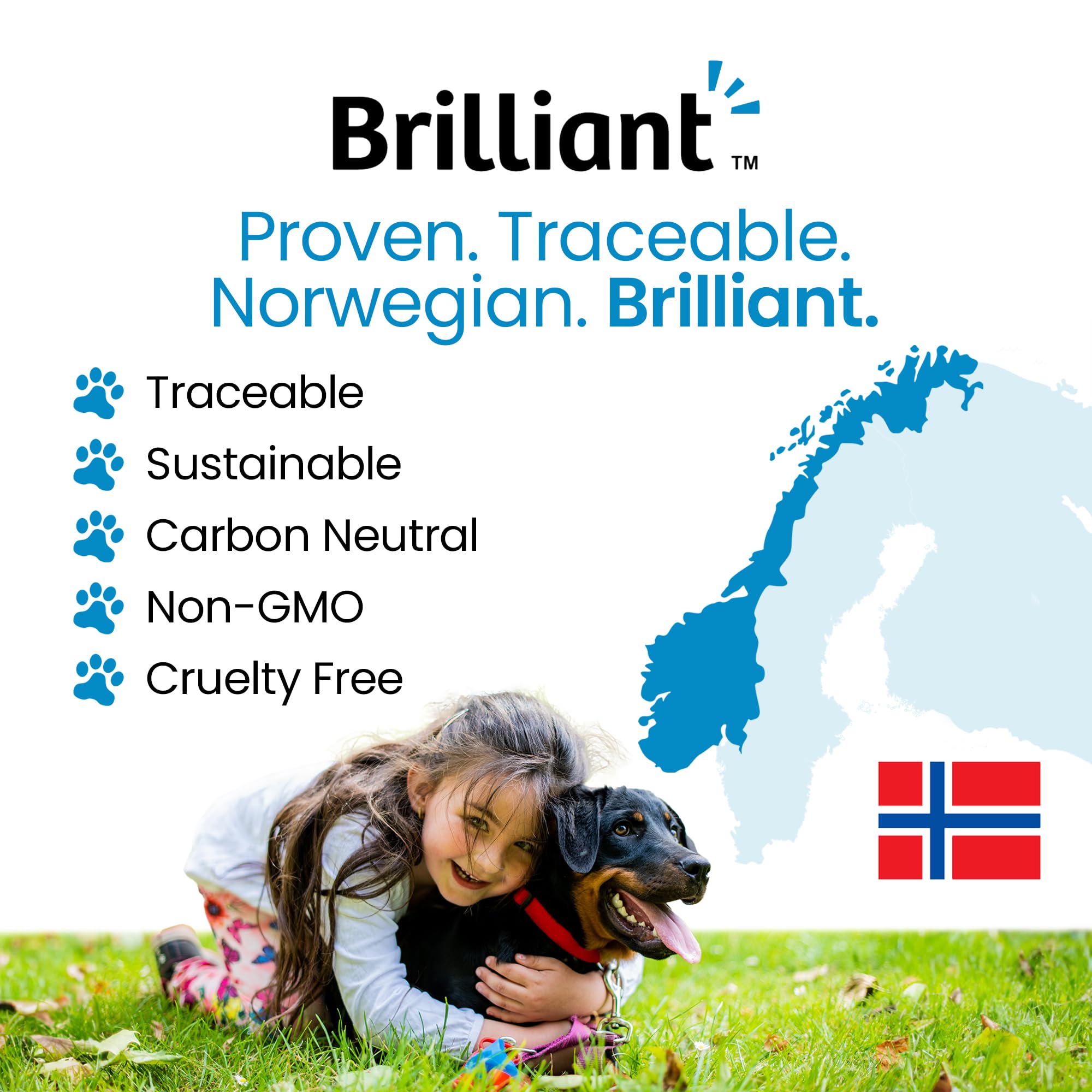 Hofseth BioCare Brilliant Bone & Joint Supplement for Dogs - High Strength Calcium & Collagen Powder for Joint & Hip Support, Essential Supplement for Dog’s of All Ages - 10.6 Oz Hofseth BioCare Au supplements