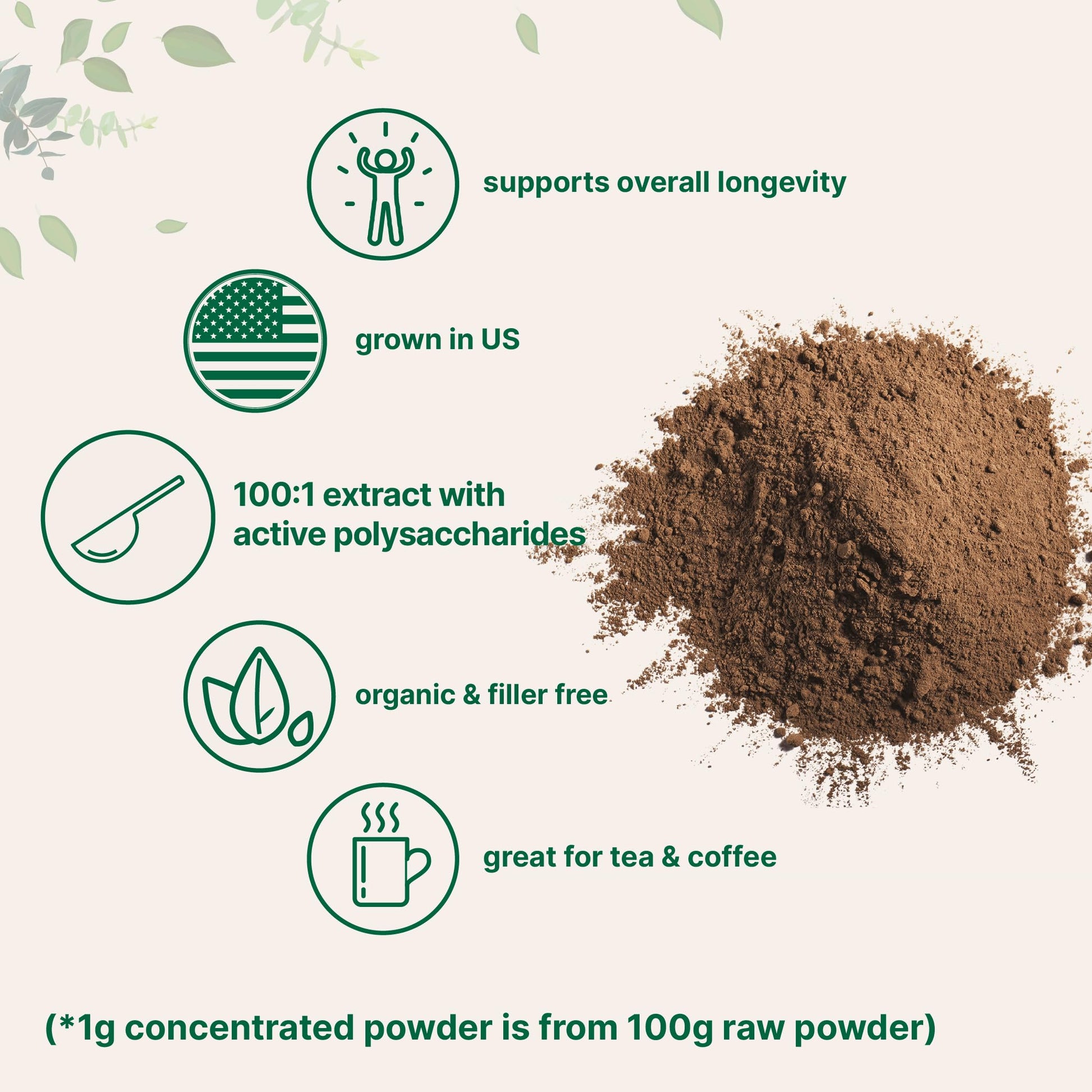 Micro Ingredients Sustainably US Grown, Organic Reishi Mushroom Powder, 8 Ounce Micro Ingredients Au supplements