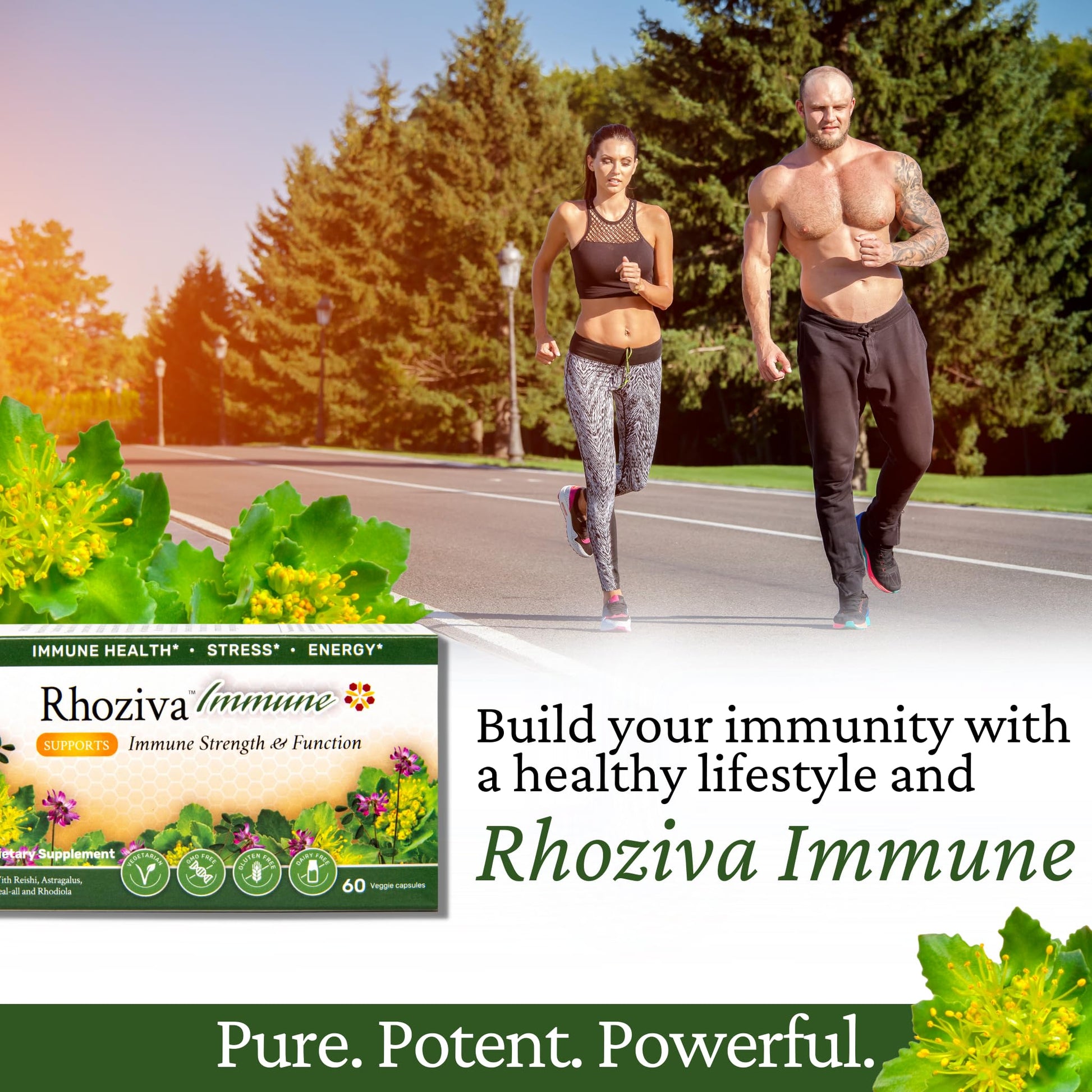 Immune Support, Energy Booster with Vitamin C, D3 and Zinc Supplement, Rhodiola Rosea, Reishi Mushroom Extract, Astragalus, Overall Wellness and Daily Habit - 60 Capsules Rhoziva Au supplements