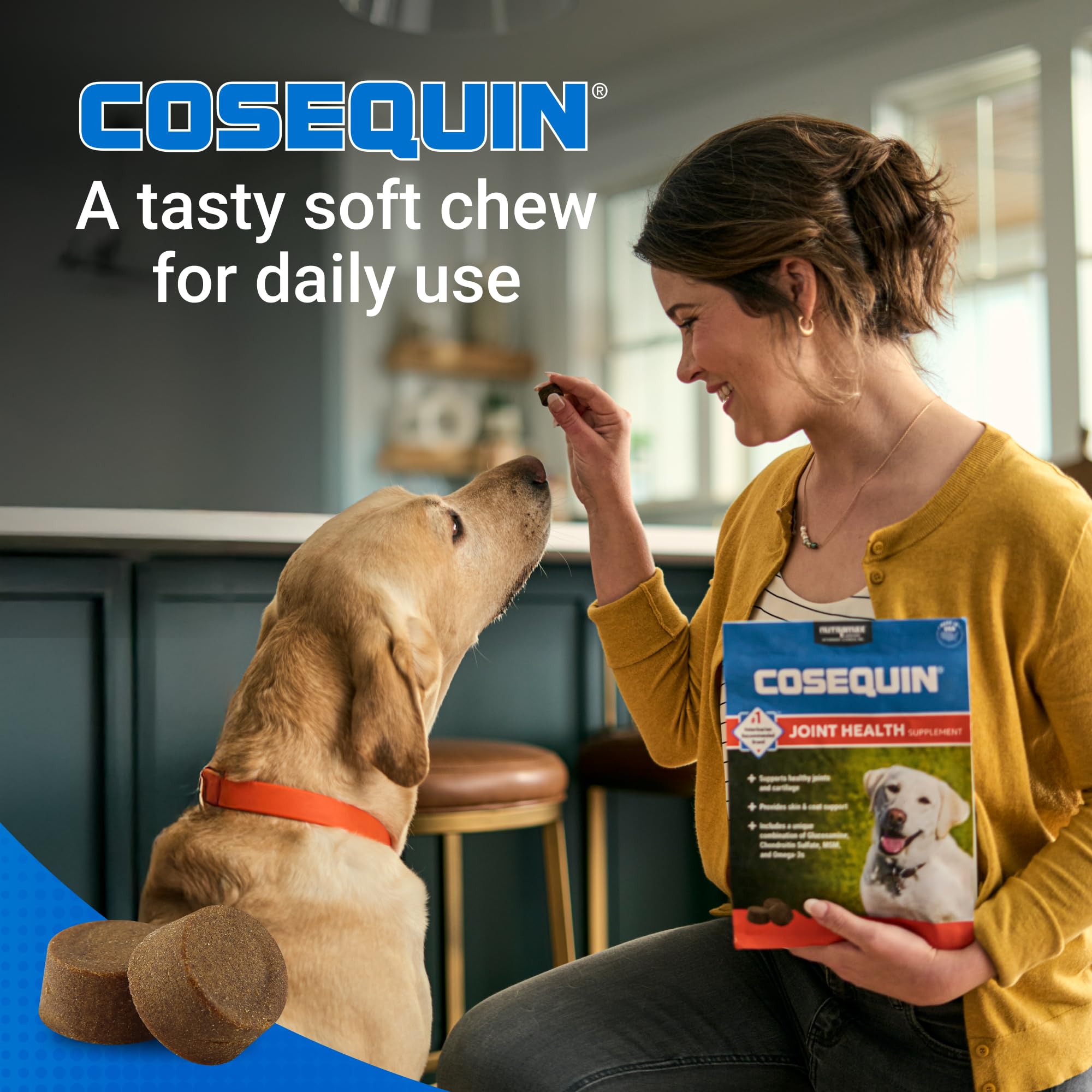 Nutramax Cosequin for Dogs Joint Health Supplement, Contains Glucosamine for Dogs, Chondroitin, MSM and Omega-3s, Supports Joint and Skin and Coat Health, Soft Chews, 60 Count Nutramax Laboratories Au supplements