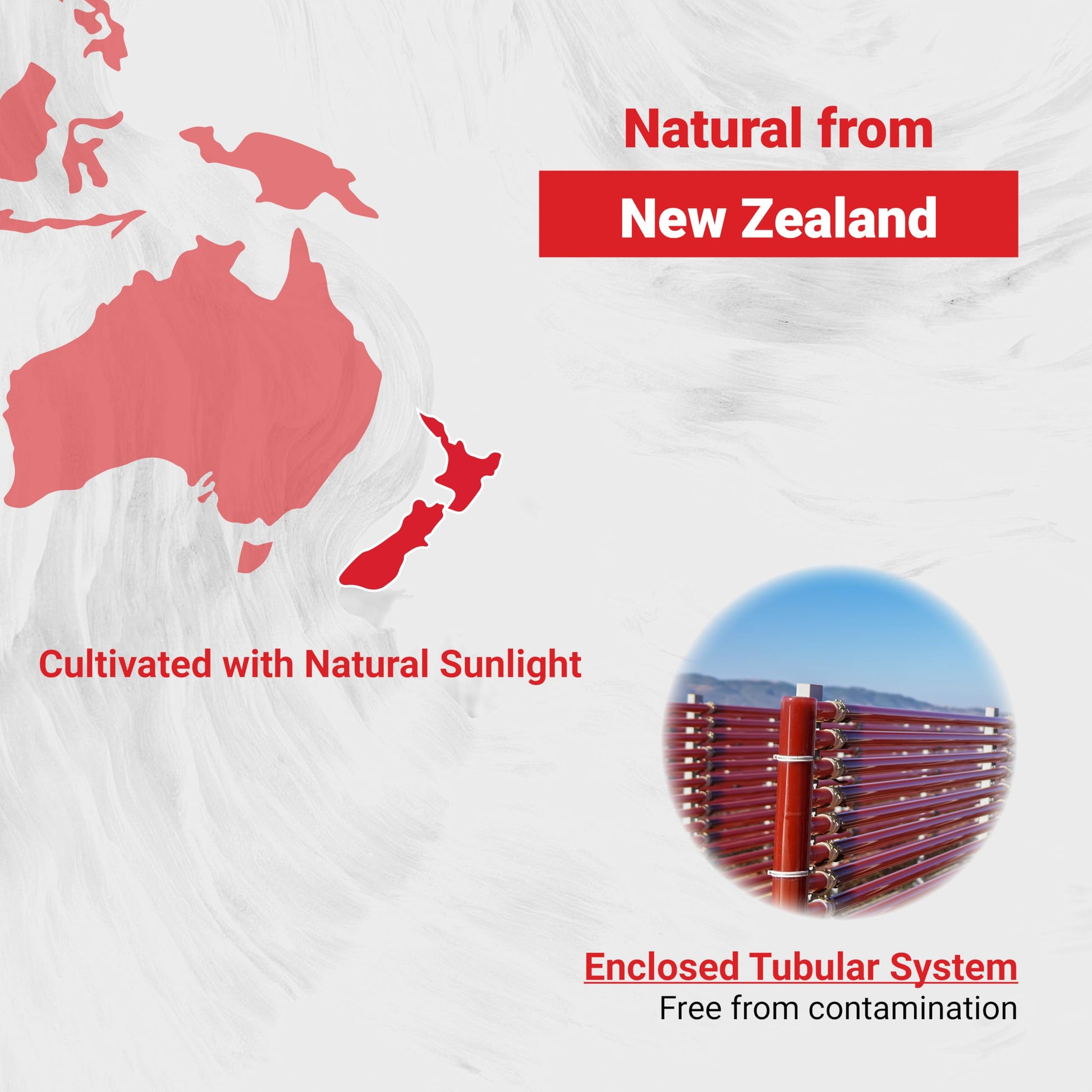 Naturalis New Zealand Astaxanthin (12mg) | Enhanced with Natural Vitamin E | Non-GMO, Soy & Gluten Free | 120 Softgels (4 Month Supply) Naturalis Au supplements