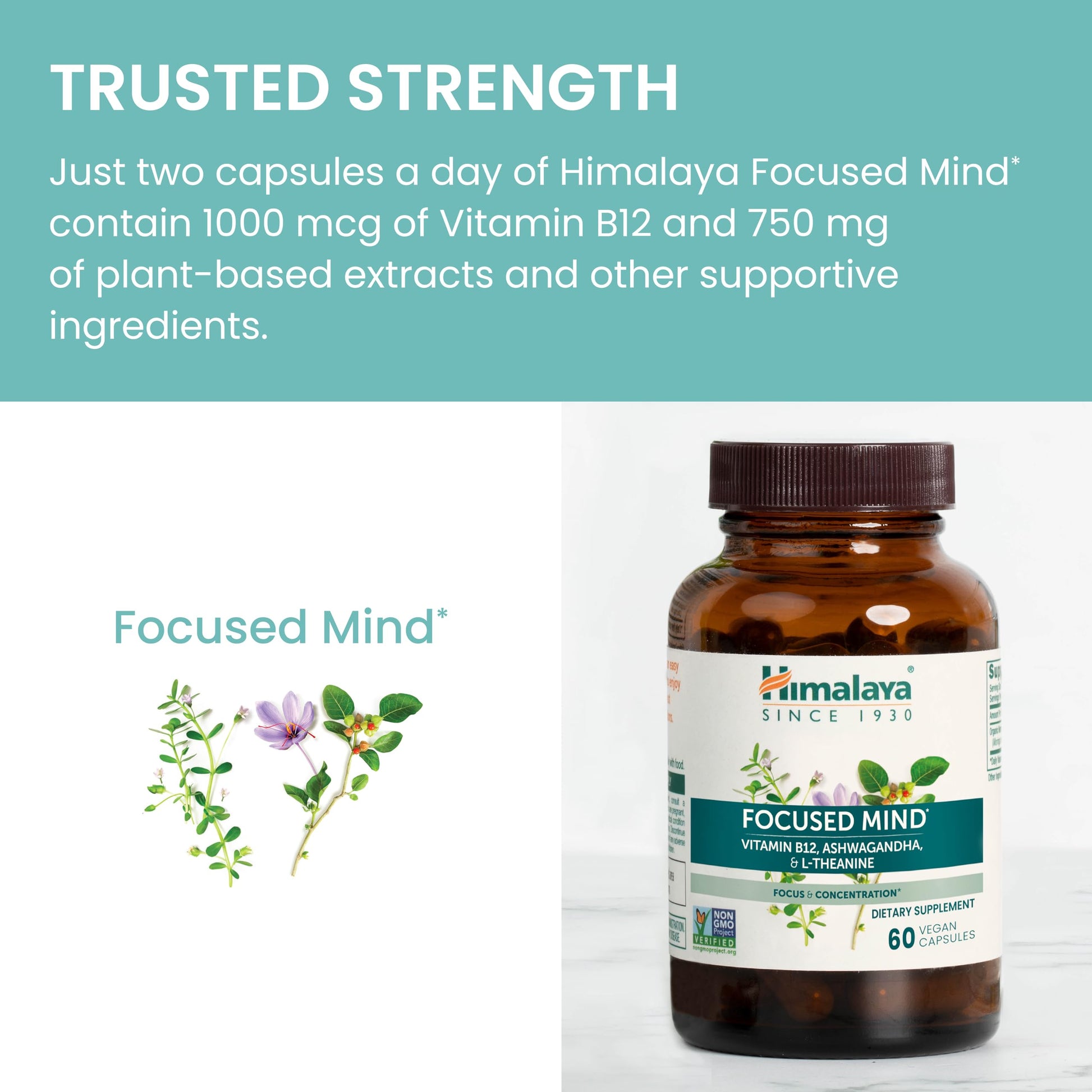 Himalaya Focused Mind Supplement, with Ashwagandha, Bacopa & L-Theanine for Attention, Focus and Energy Support, 60 Vegan Capsules, Gluten Free, 1 Month Supply Himalaya Au supplements