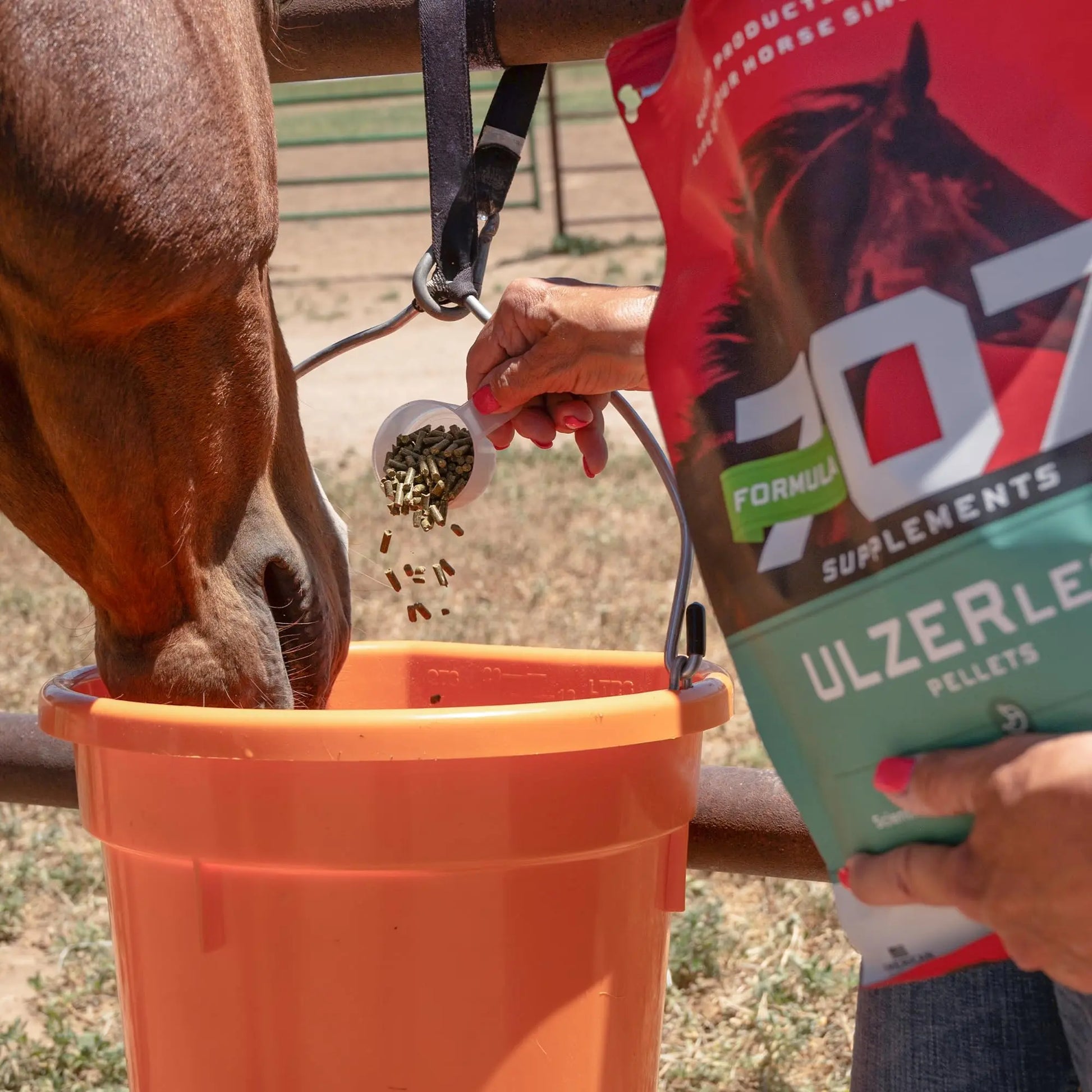 Formula 707 ULZERless Equine Supplement, 7.5lb Bag - Natural Gut Support for Horses with Ulcer Risk Factors Formula 707 Au supplements