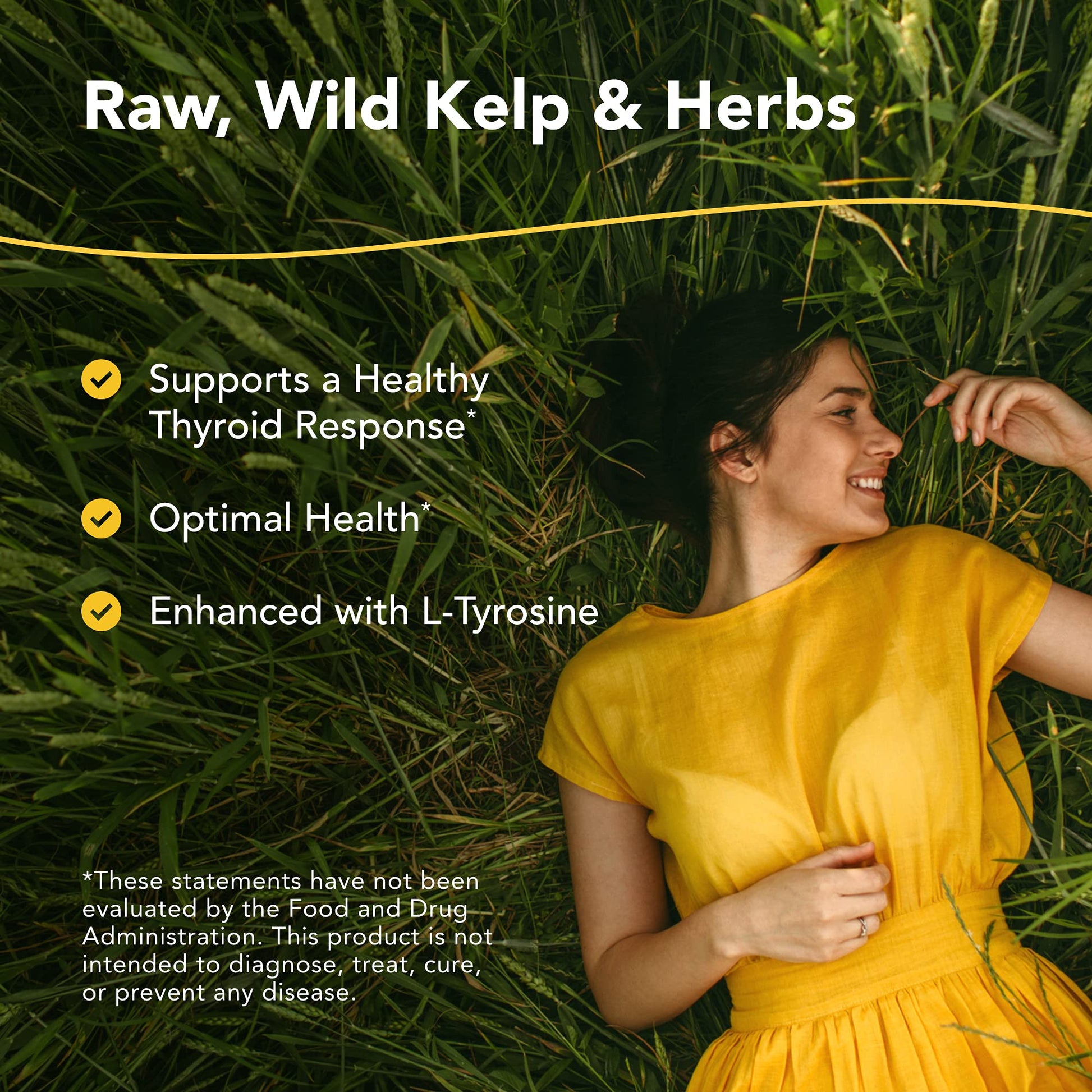 NORTH AMERICAN HERB & SPICE Thyroset - 90 Capsules - Wild Kelp & Herbs Blend - Healthy Thyroid Support - Contains Trace Minerals, Natural Iodine, Antioxidants & Amino Acids - 45 Servings NORTH AMERICAN HERB & SPICE Au supplements