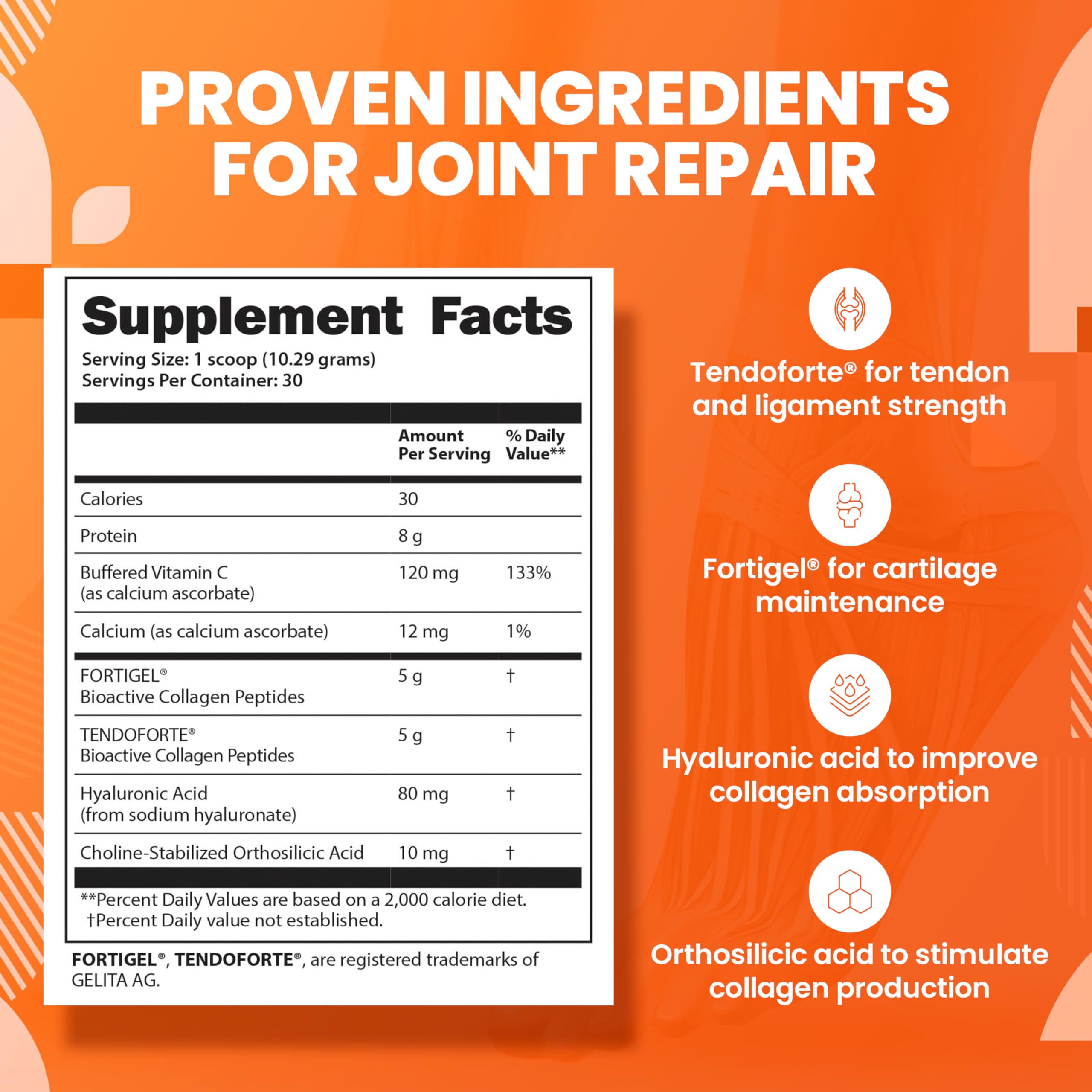 SaltWrap Collagen Synthesis - Collagen Peptides for Joints with Fortigel, Tendoforte, Best Collagen Powder for Tendons, Ligaments, and Cartilage Recovery and Repair, NSF Certified for Sport SaltWrap Au supplements