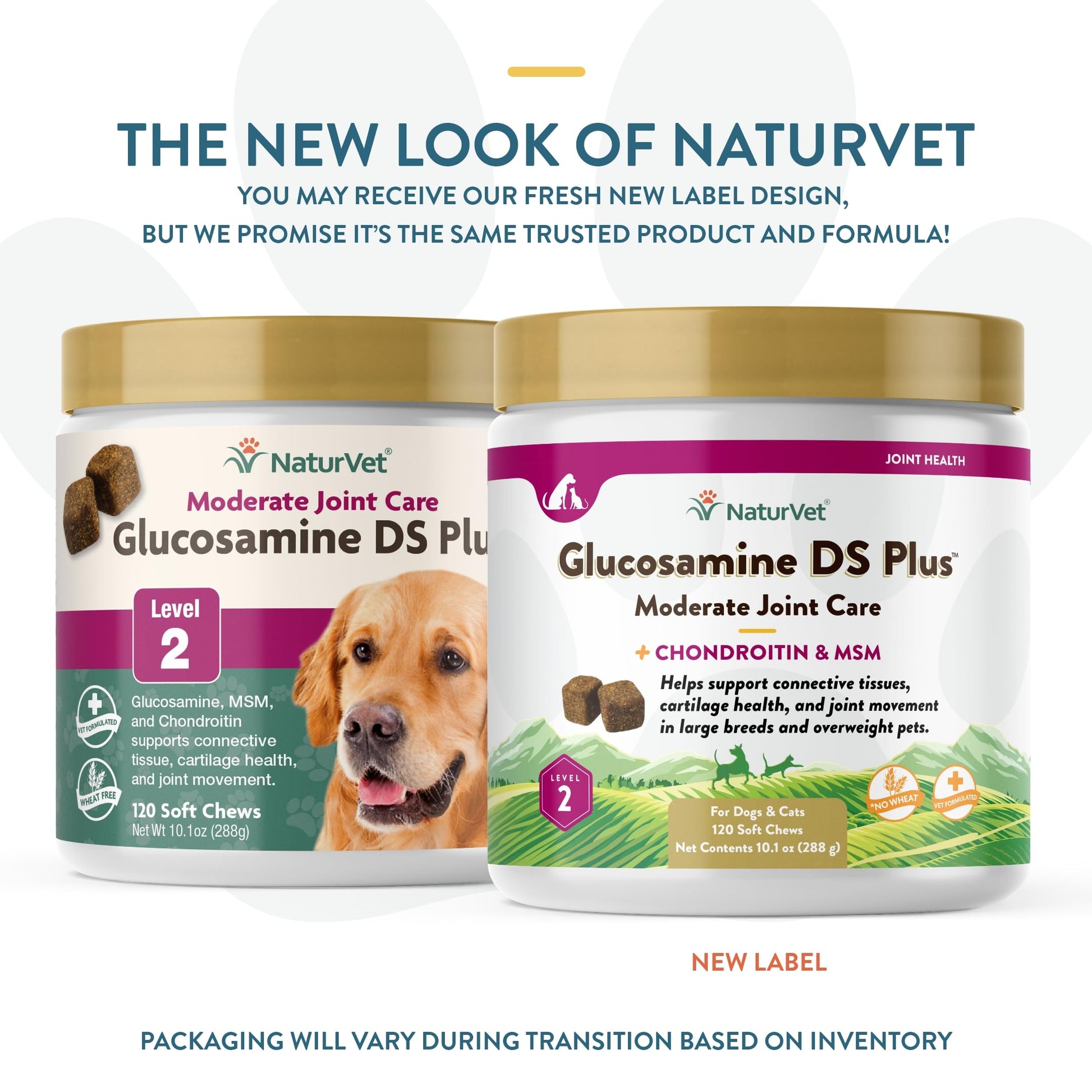 NaturVet – Glucosamine DS Plus - Level 2 Moderate Care – Supports Healthy Hip & Joint Function – Enhanced with Glucosamine, MSM & Chondroitin – for Dogs & Cats–120 Soft Chews NaturVet Au supplements