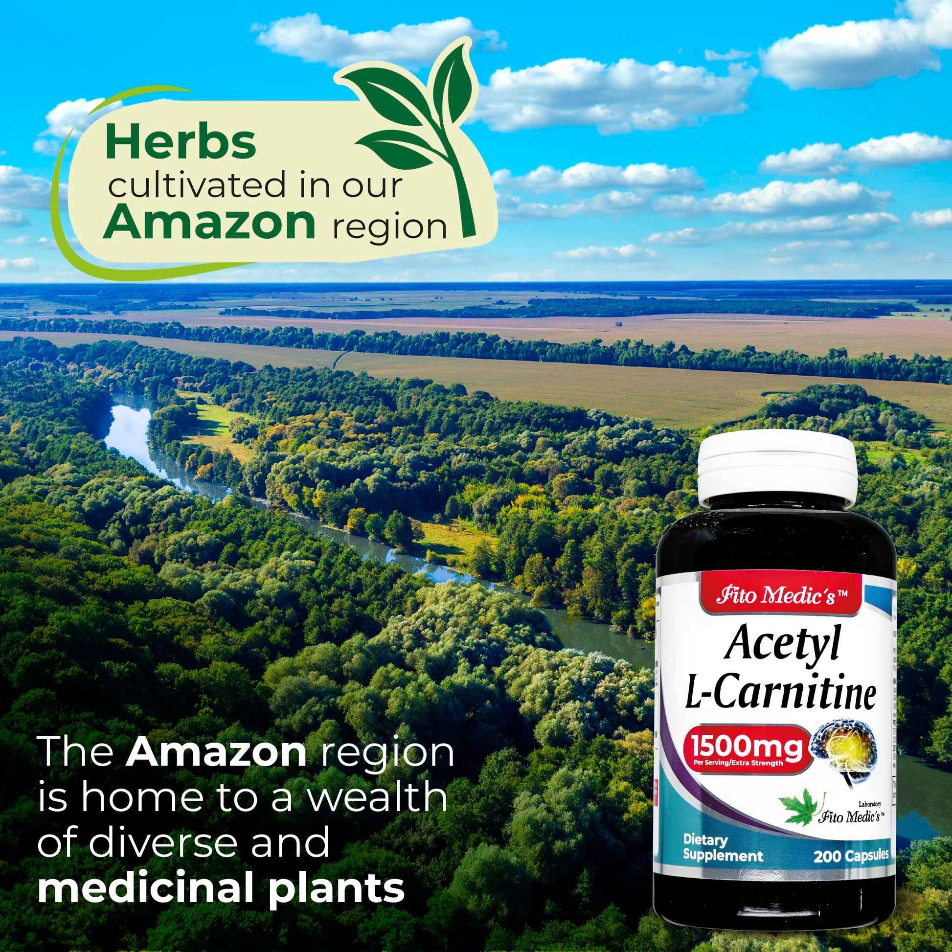 Lab - l carnitine - 1500 mg per Serving, 200 Capsules, l-carnitine - High Potency of - Acetyl FITO MEDIC'S Au supplements