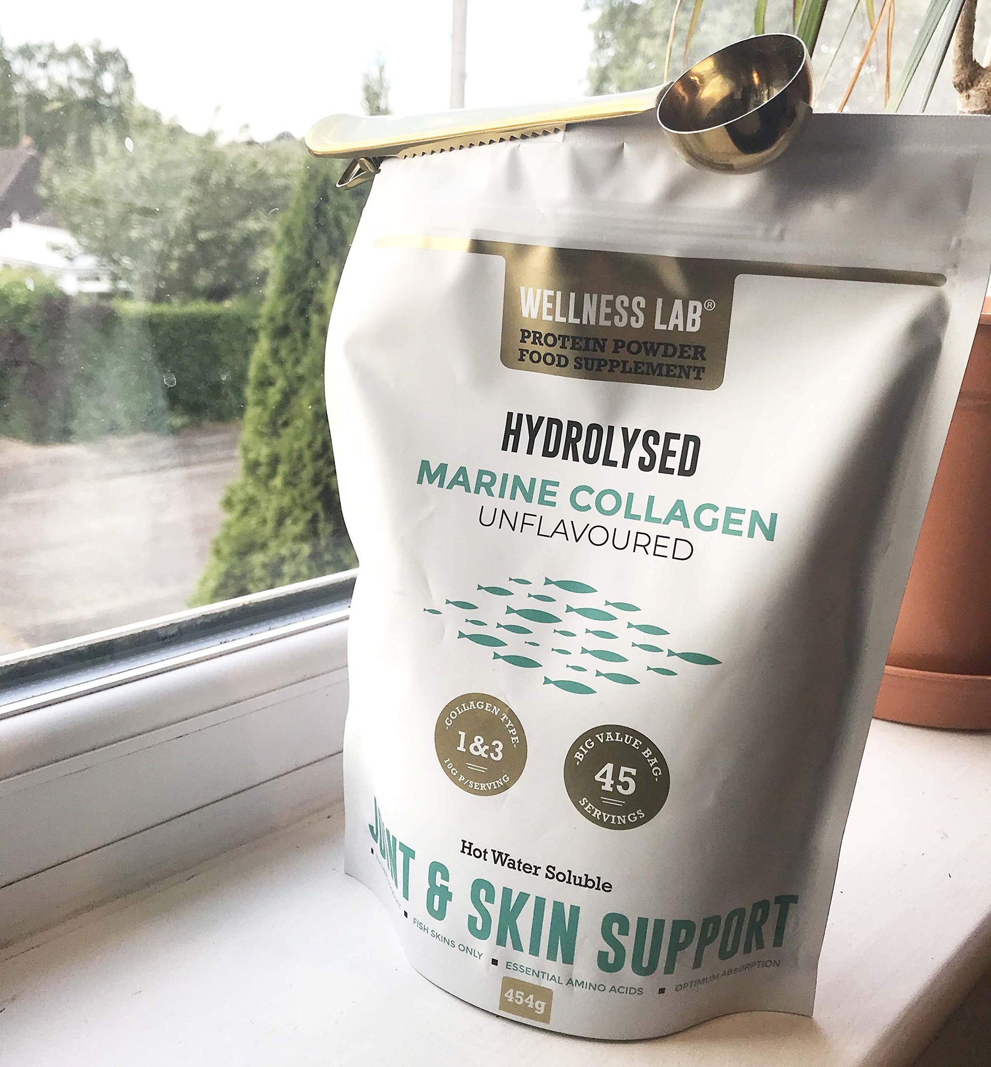 Cleanest Marine Collagen Peptides | Wellness Lab 454g | Type I,III | Highest Bioavailability Hydrolysed Protein Wellness Lab Au supplements