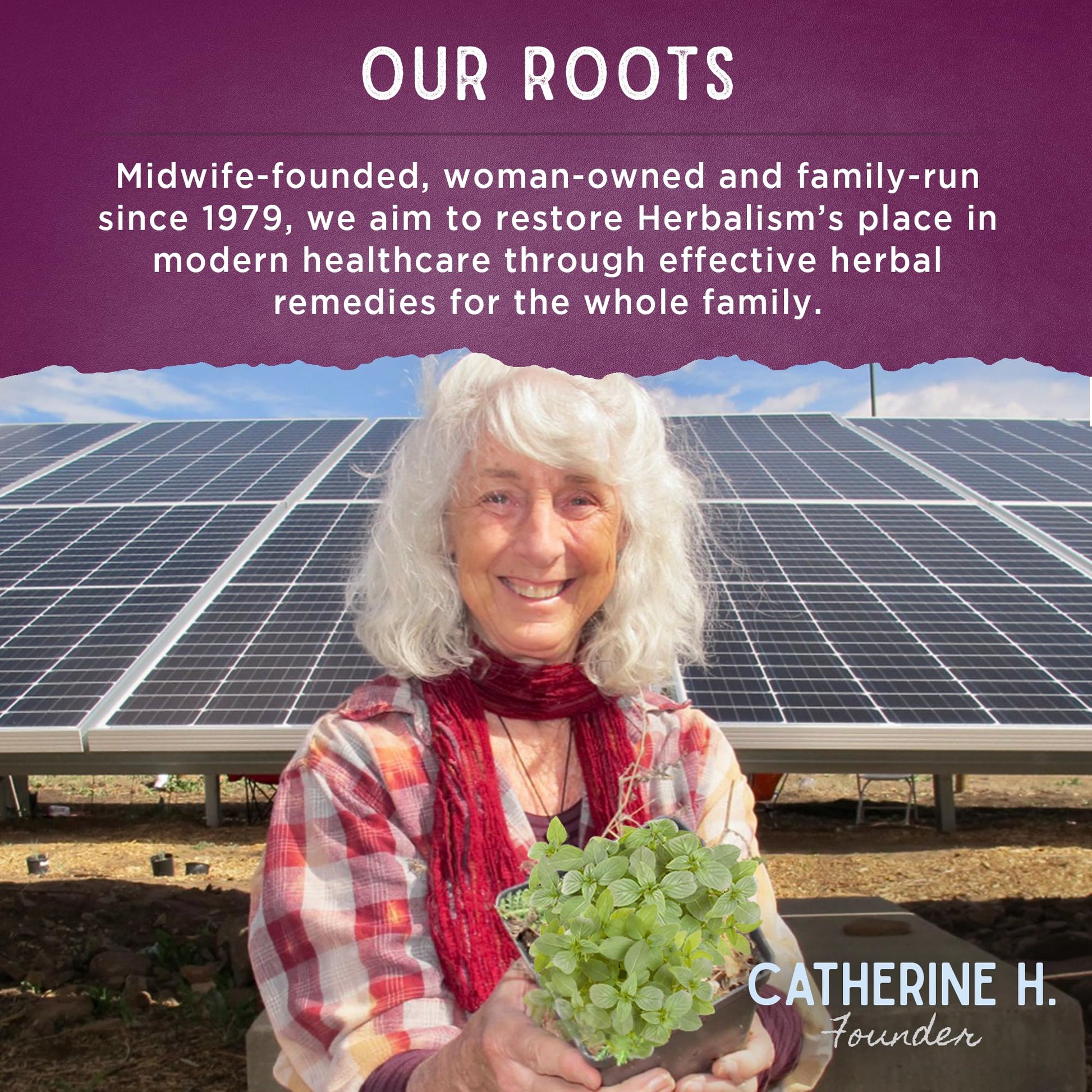 WishGarden Herbs Serious Relaxer, Liquid Herbal Muscle Relaxant with Wild Lettuce & Valerian Root, Eases Neck & Shoulder Tension, Tense Muscles, Muscle Spasms & Restless Legs, Non-GMO, Vegan, 4oz WishGarden Au supplements