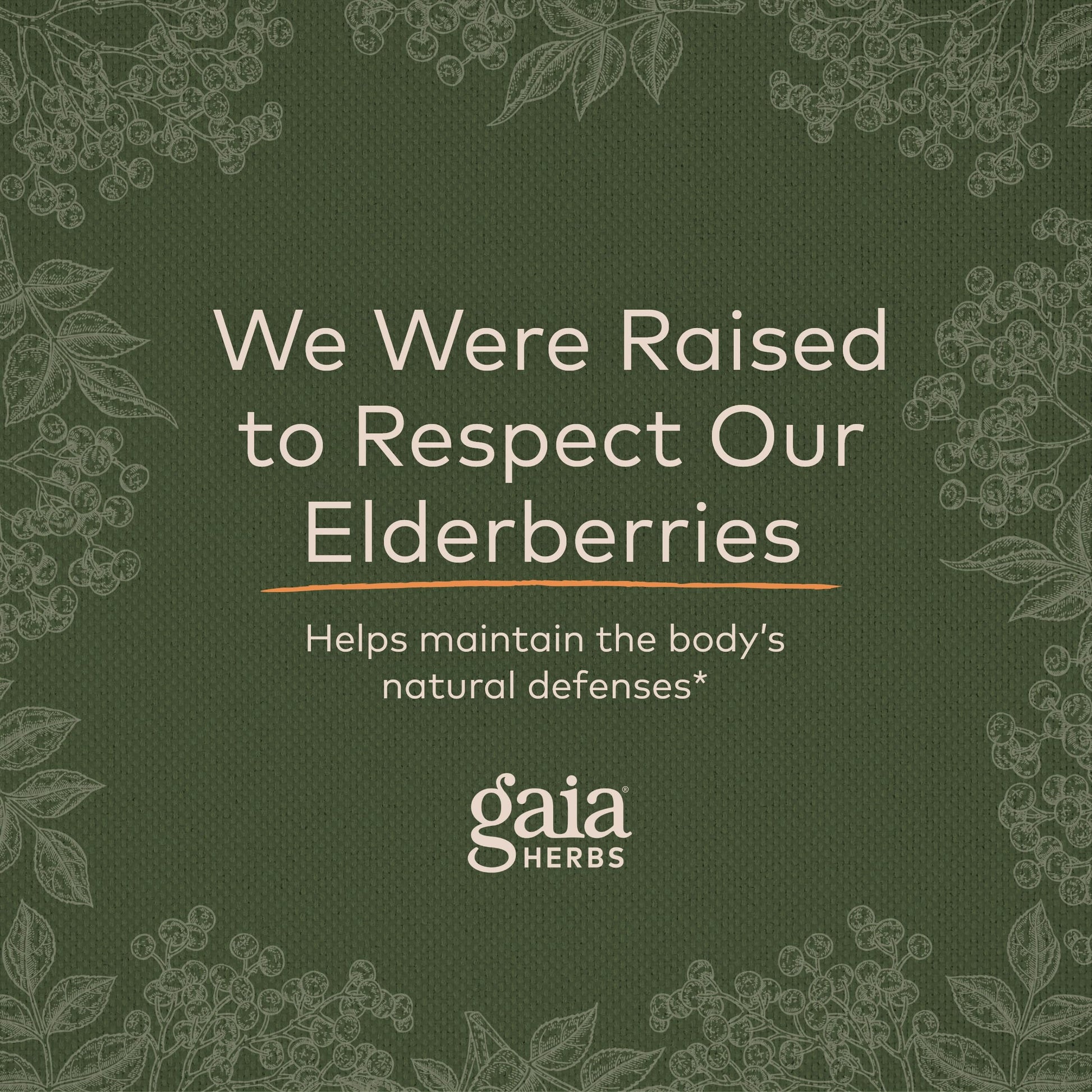 Gaia Herbs Black Elderberry (Sambucus Nigra) Extra Strength Gummies Gaia Herbs Au supplements
