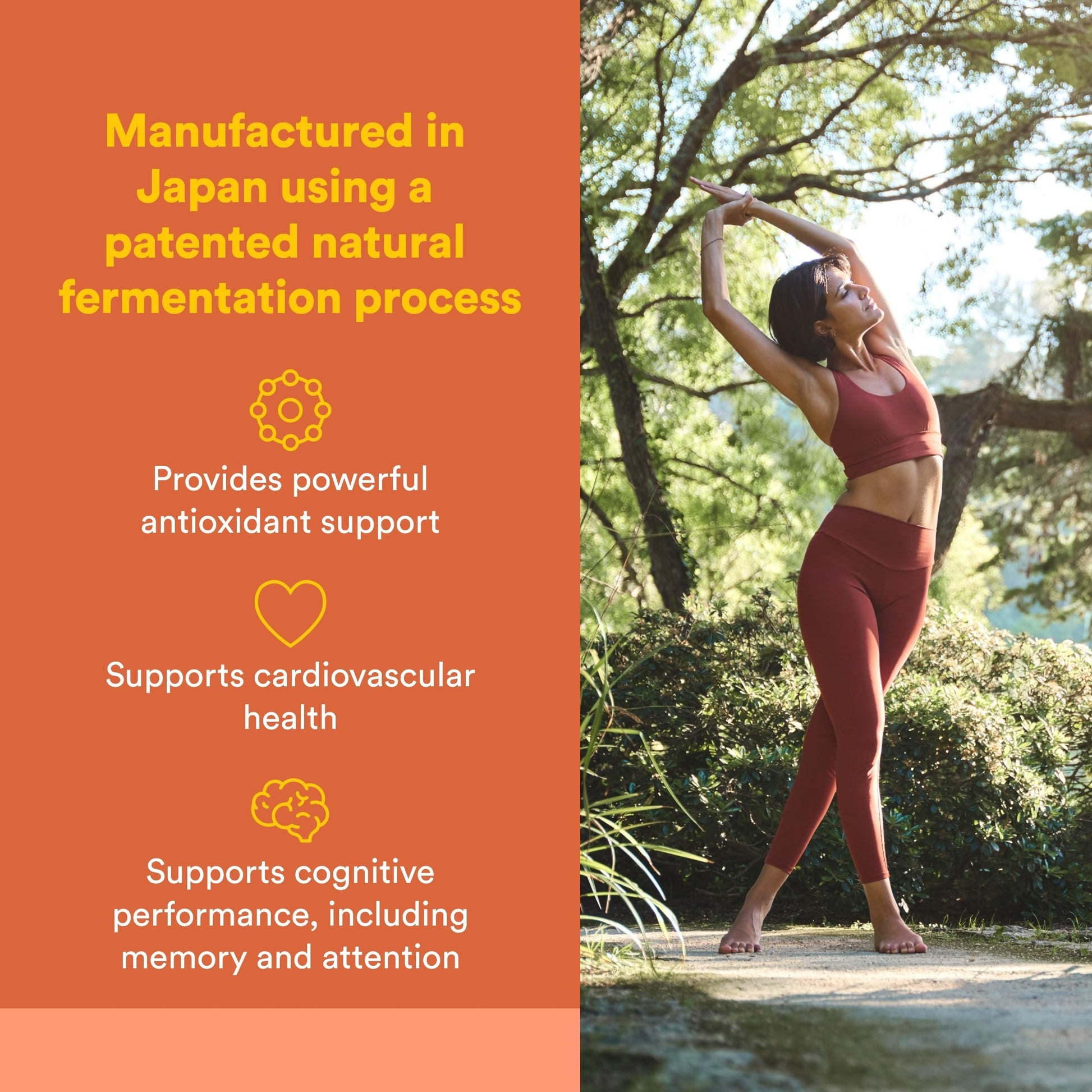 Natural Factors, PQQ-10, Supports Energy and Healthy Aging, Dietary Supplement, 60 softgels (60 servings) Natural Factors Au supplements