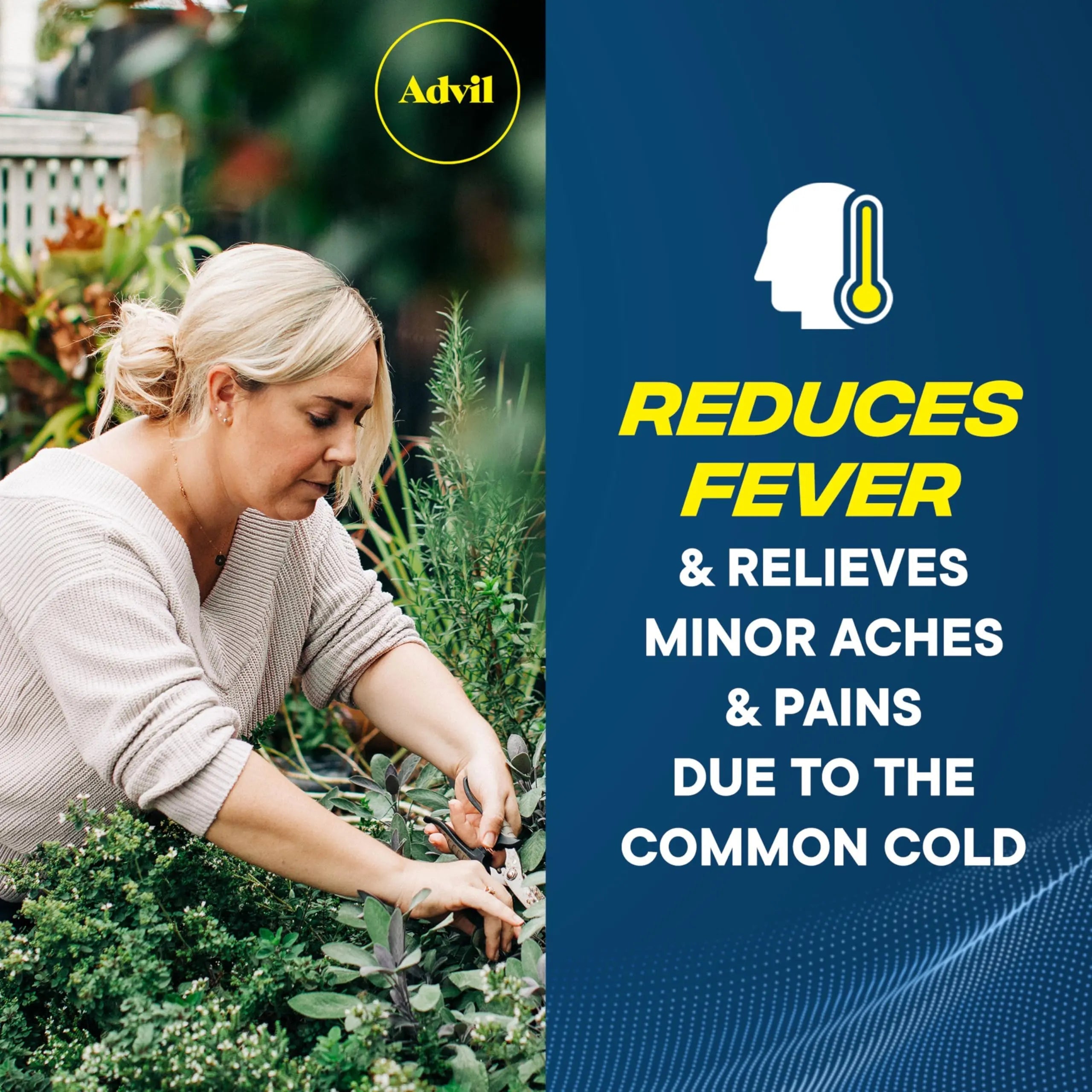 Advil Ibuprofen Coated Caplets Pain Reliever and Fever Reducer 200 Milligram 24Ct Advil Au supplements