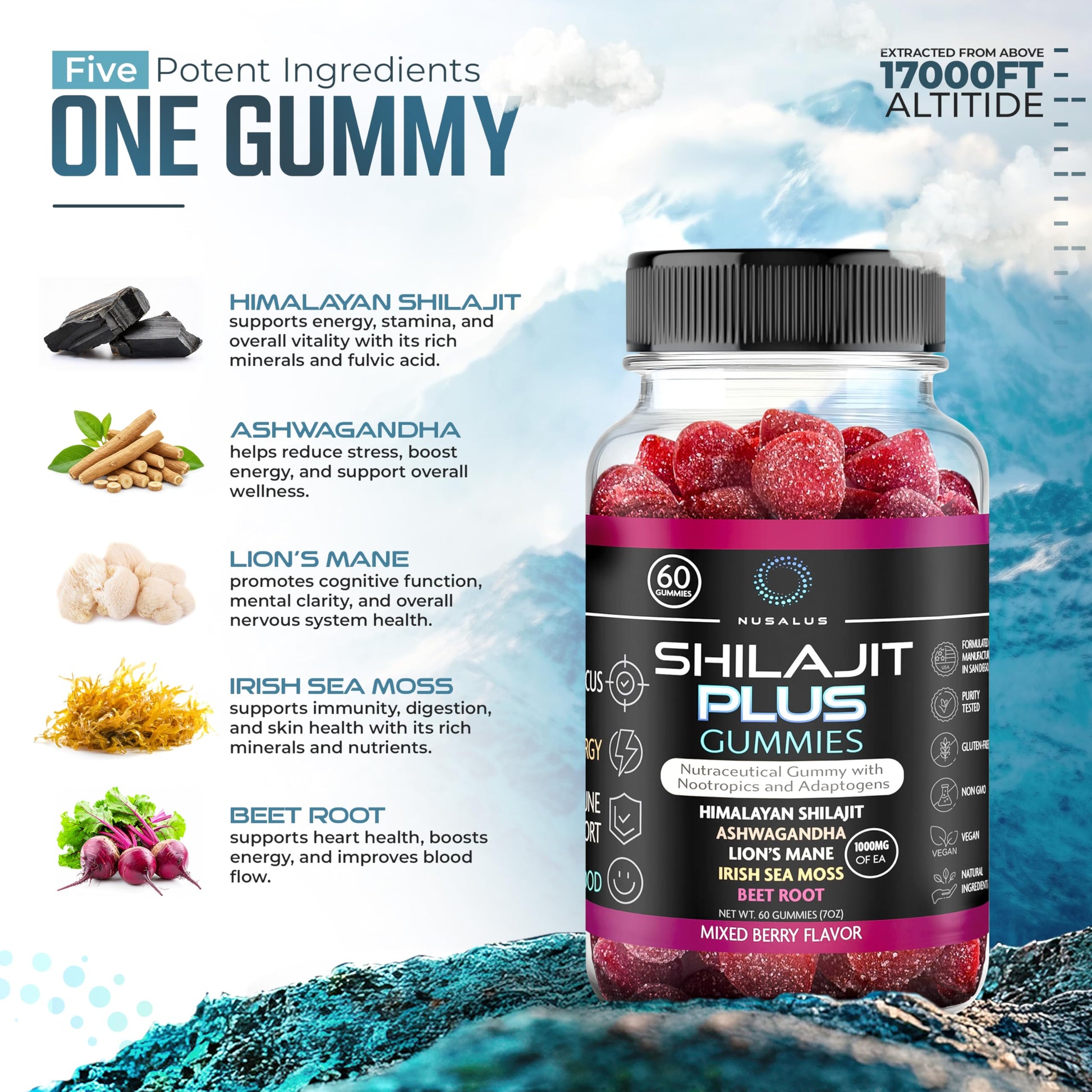 Nusalus Shilajit Plus Gummies – 5-in-1 Adaptogen Energy & Focus Supplement | Shilajit, Ashwagandha, Lion’s Mane, Sea Moss & Beet Root | Natural Energy & Stress Support | Made in USA, Vegan, 60ct Nusalus Au supplements