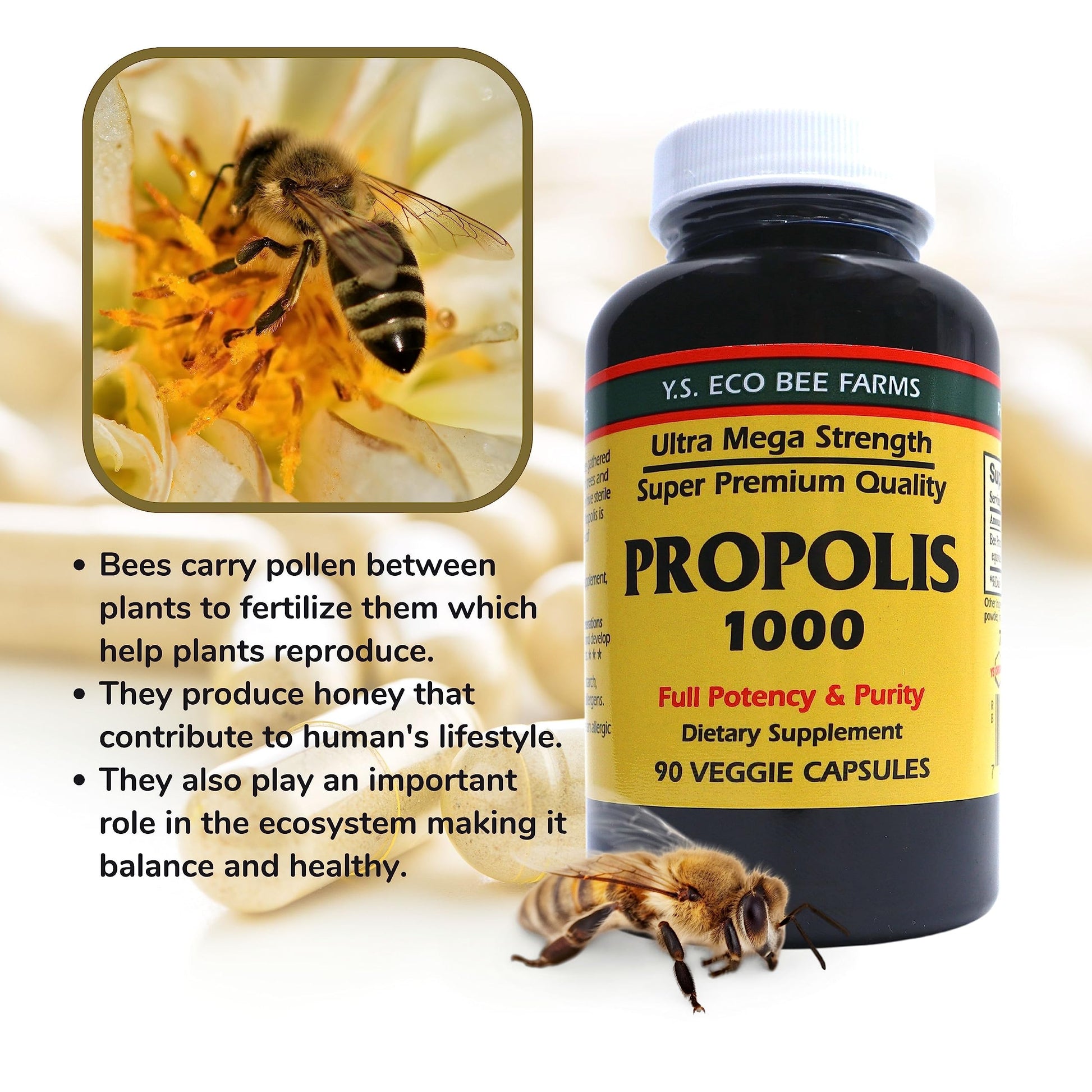 Y.S. Organic Bee Farms Propolis-Raw Unprocessed 1000mg - Your Gateway to Wellness - 90 Capsules with Bonus worldwidenutrition Multi Purpose Key Chain Worldwide Nutrition Au supplements