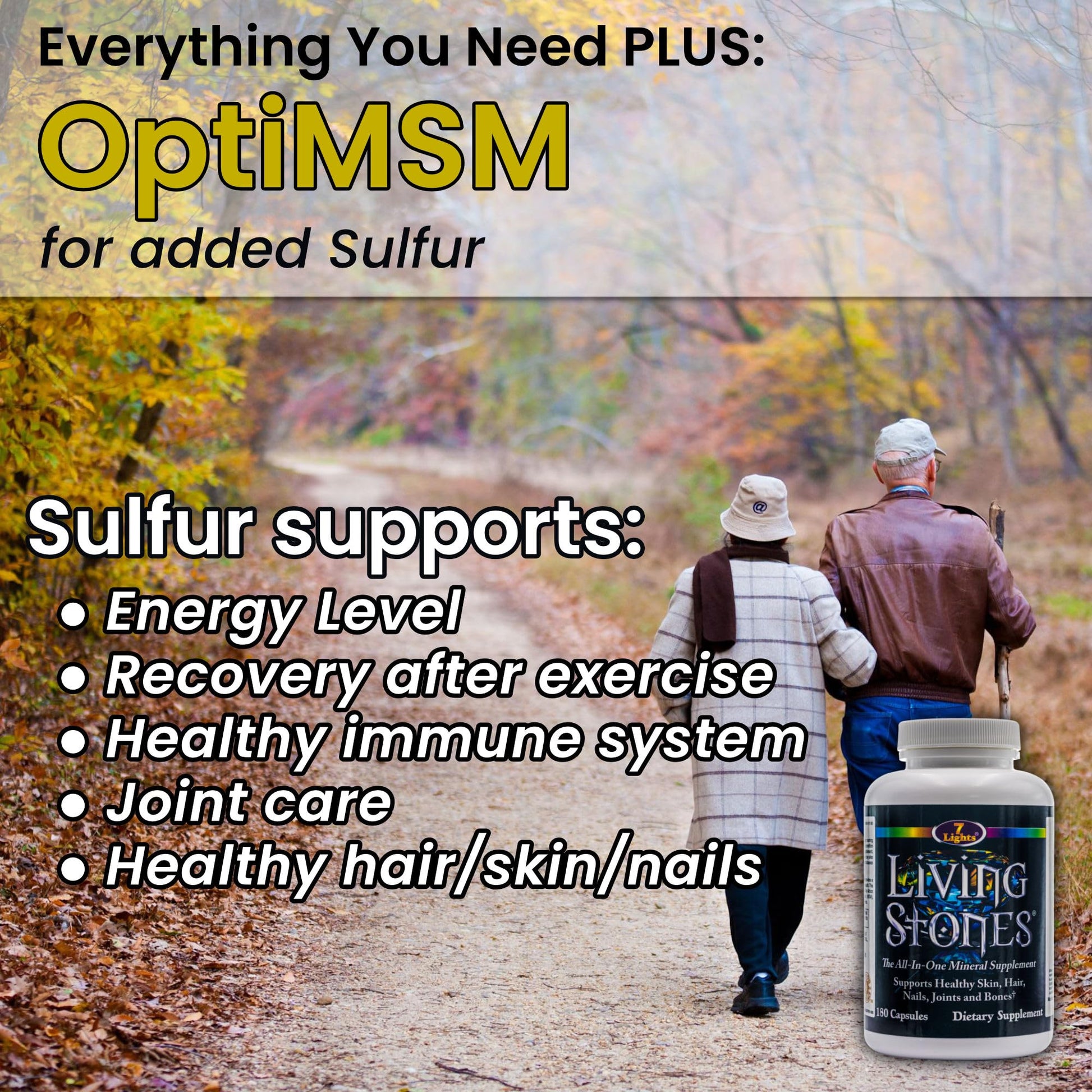 Living Stones, Complete Mineral Supplement with Zinc, Calcium, Magnesium, Selenium, Trace Minerals, No Added Iron, with MSM (Organic Sulfur) and Shilajit, Premium Absorption (30-Day Supply - 180 Caps) 7 Lights Au supplements