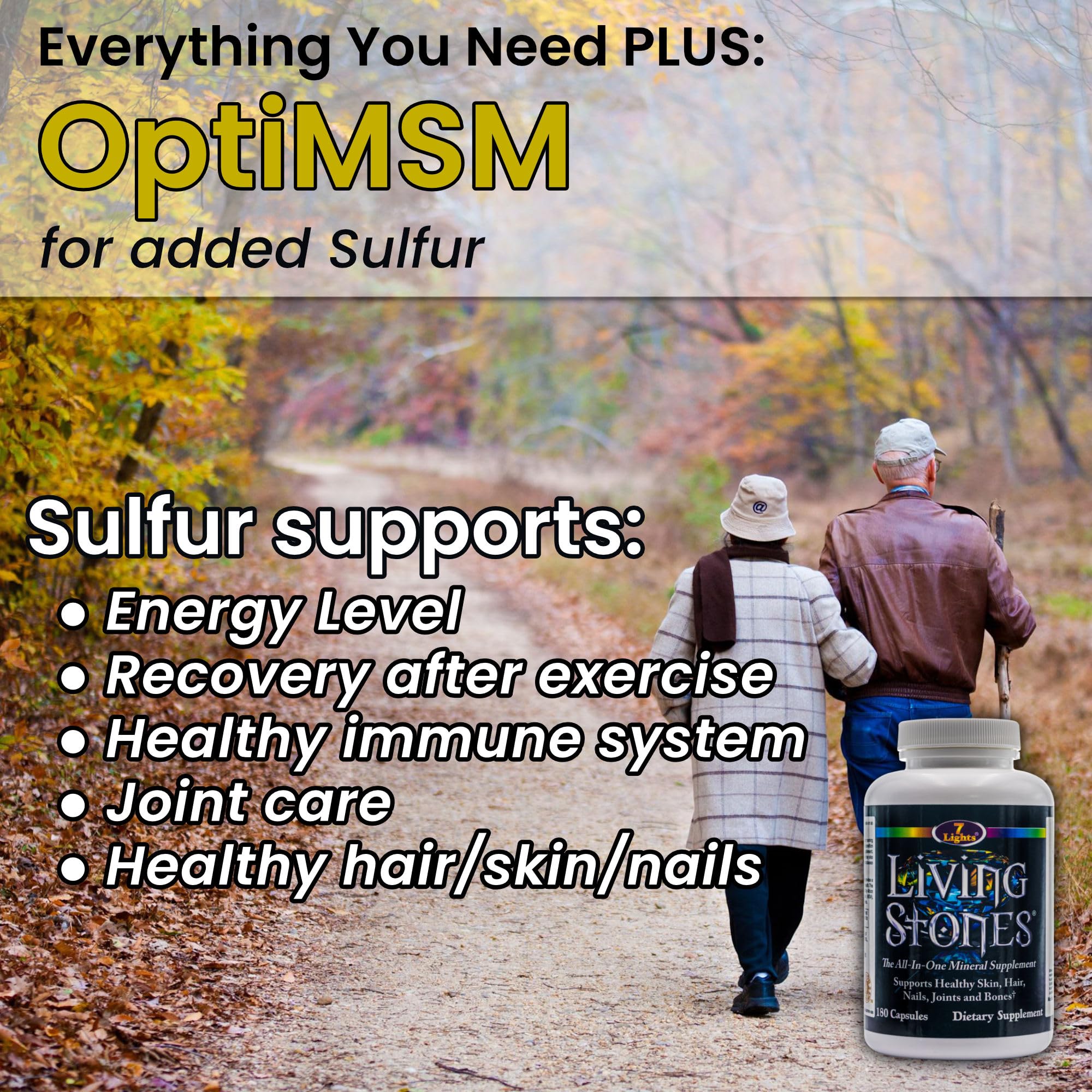 Living Stones, Complete Mineral Supplement with Zinc, Calcium, Magnesium, Selenium, Trace Minerals, No Added Iron, with MSM (Organic Sulfur) and Shilajit, Premium Absorption (30-Day Supply - 180 Caps) 7 Lights Au supplements