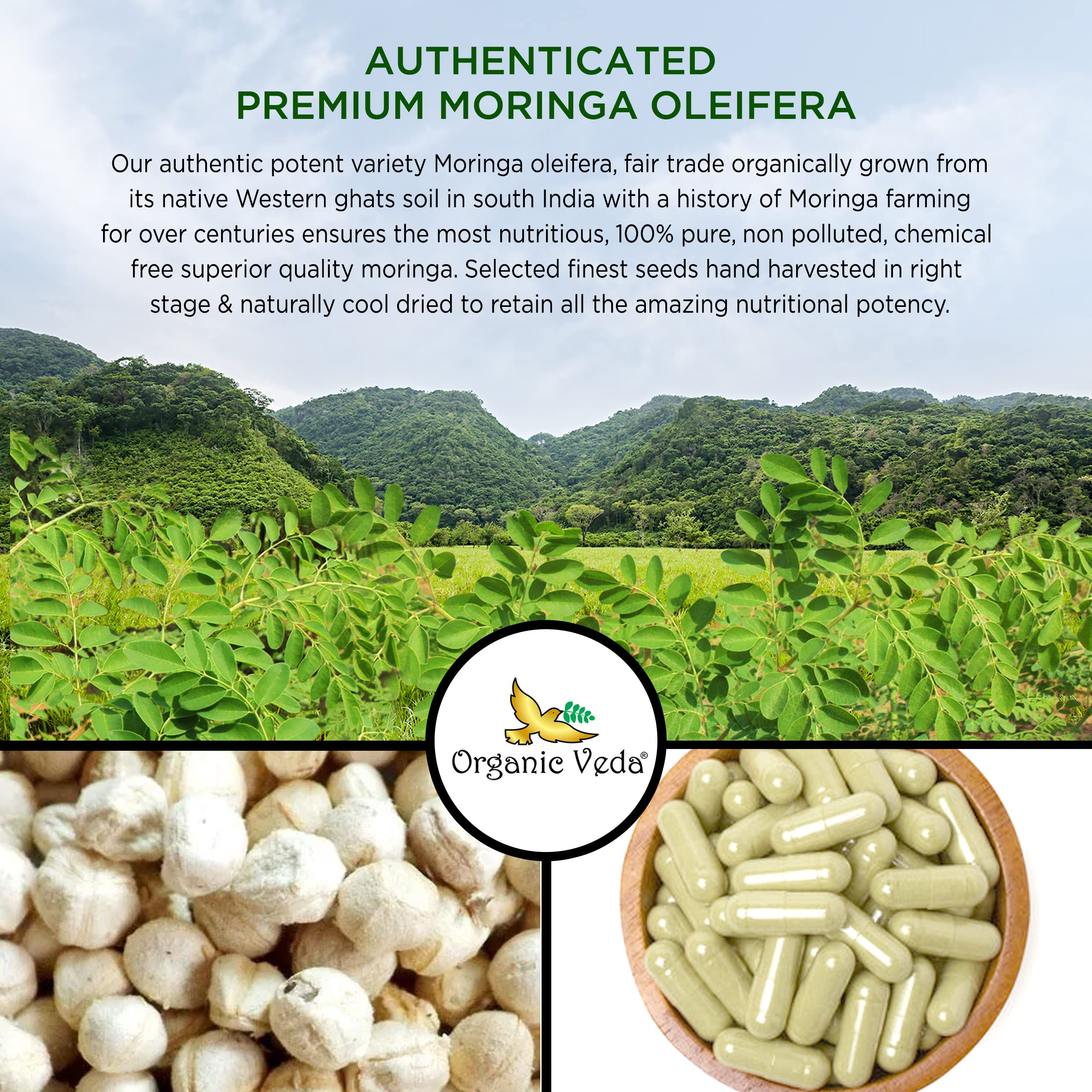 Organic Veda Moringa Seed Capsules - Pure Organic Moringa Capsules Seed Powder Organic Veda Au supplements