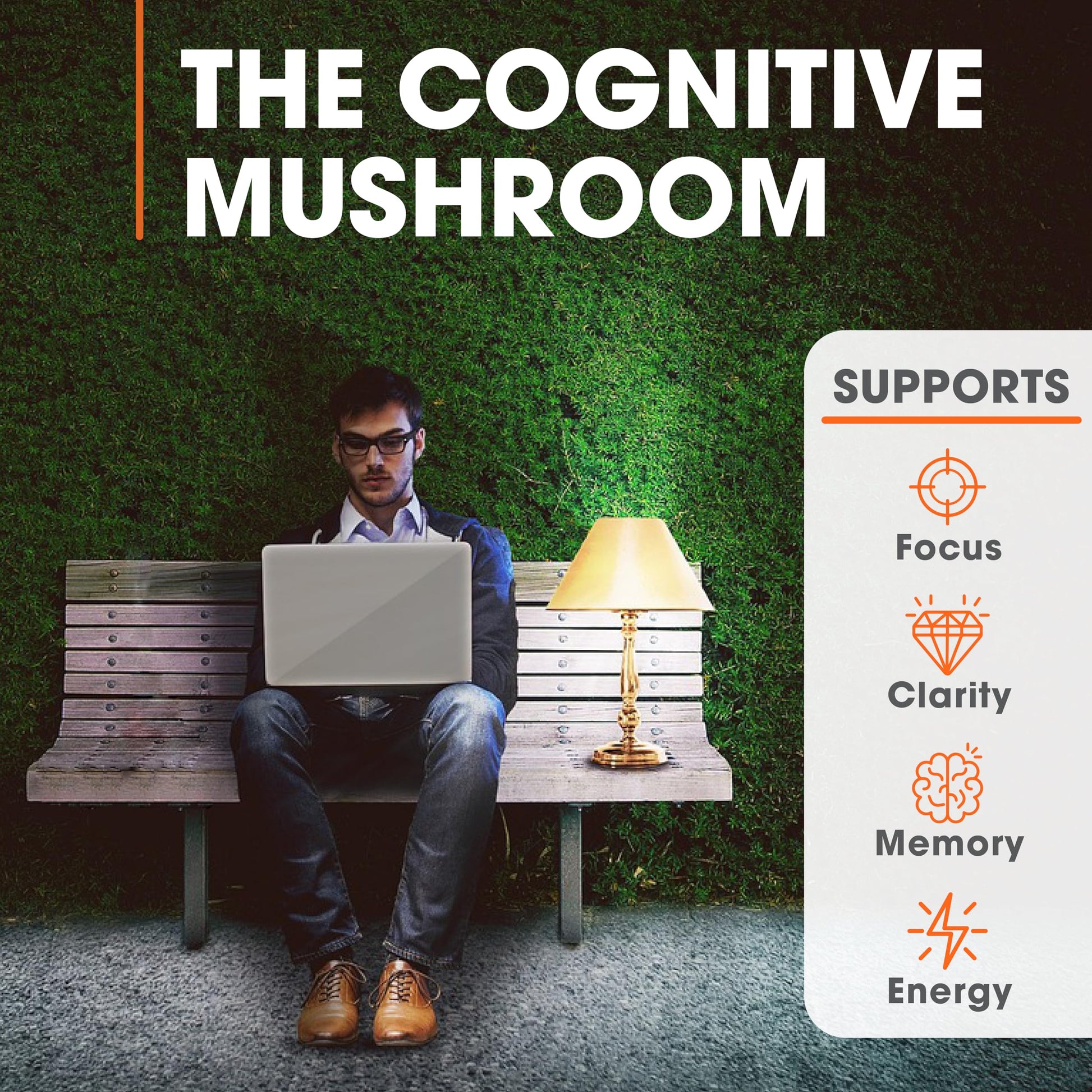 Genius Lions Mane Supplement Capsules - Organic Nootropic Supplement, 1200mg per The Genius Brand Au supplements