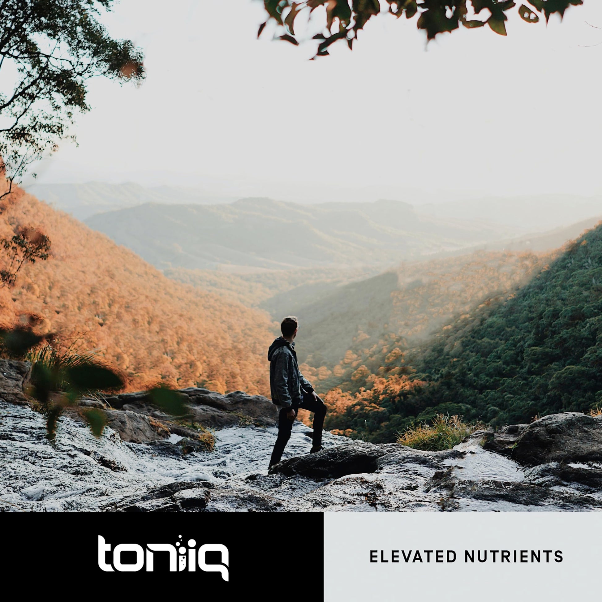 Toniiq 18,000mg 15x Concentrated Artichoke Extract Capsules - Ultra Concentrated Toniiq Au supplements