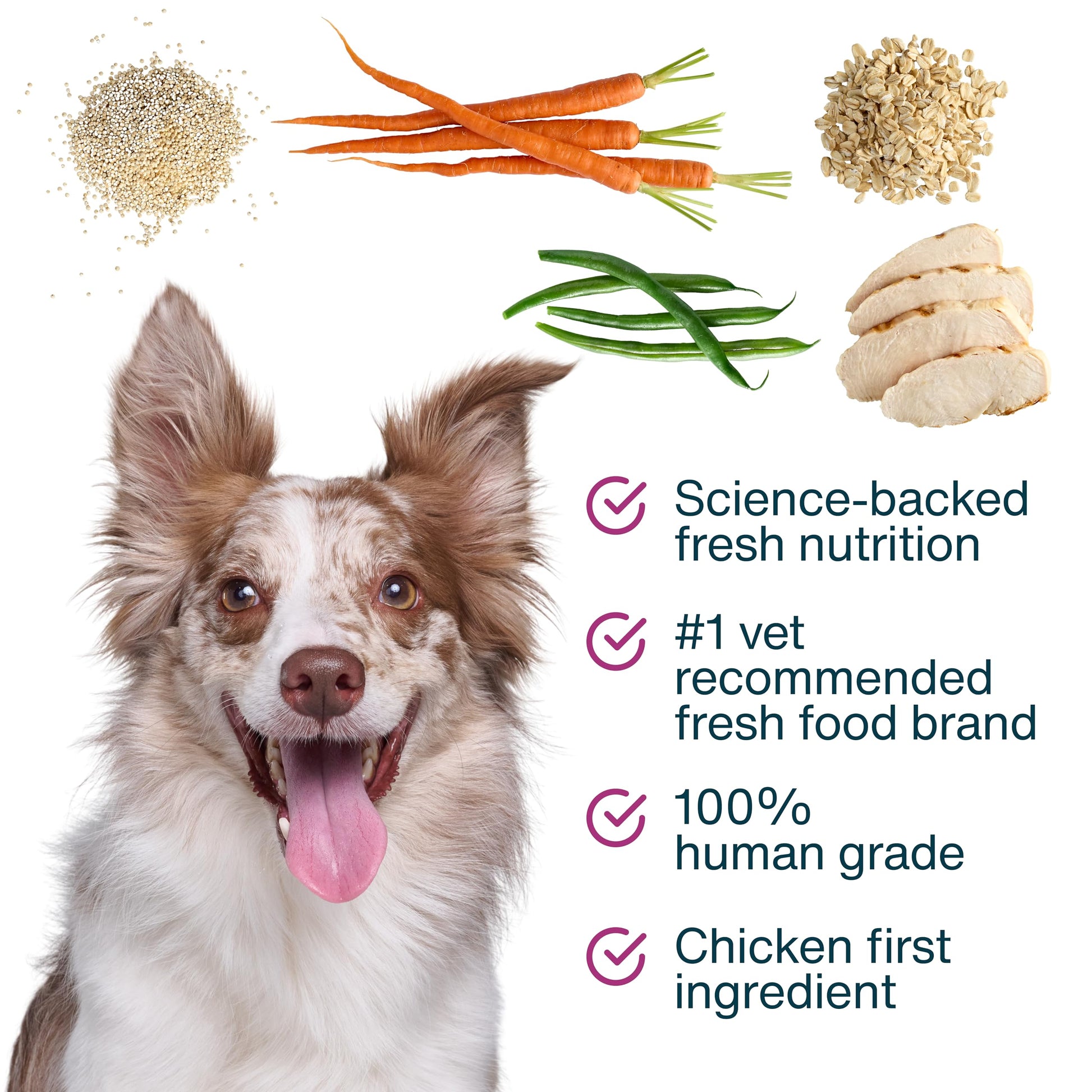 JustFoodForDogs JustFresh Boosts Hip & Joint Support Dog Food Toppers with Glucosamine to Support Hip Mobility & Joint Flexibility, Human-Grade Fresh Pet Meal Booster, 8 oz Pouches - 8 Pack JustFoodForDogs Au supplements