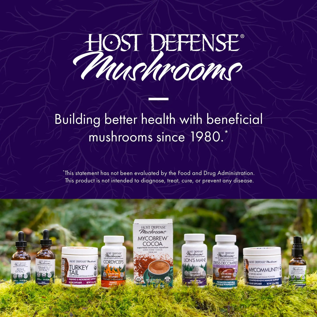 Host Defense MycoBotanicals Brain* Capsules - Brain Support Supplement with Lion's Mane, Reishi & Cordyceps Mushroom - Herbal Supplement for Memory & Focus Support - 60 Capsules Host Defense uk supplements