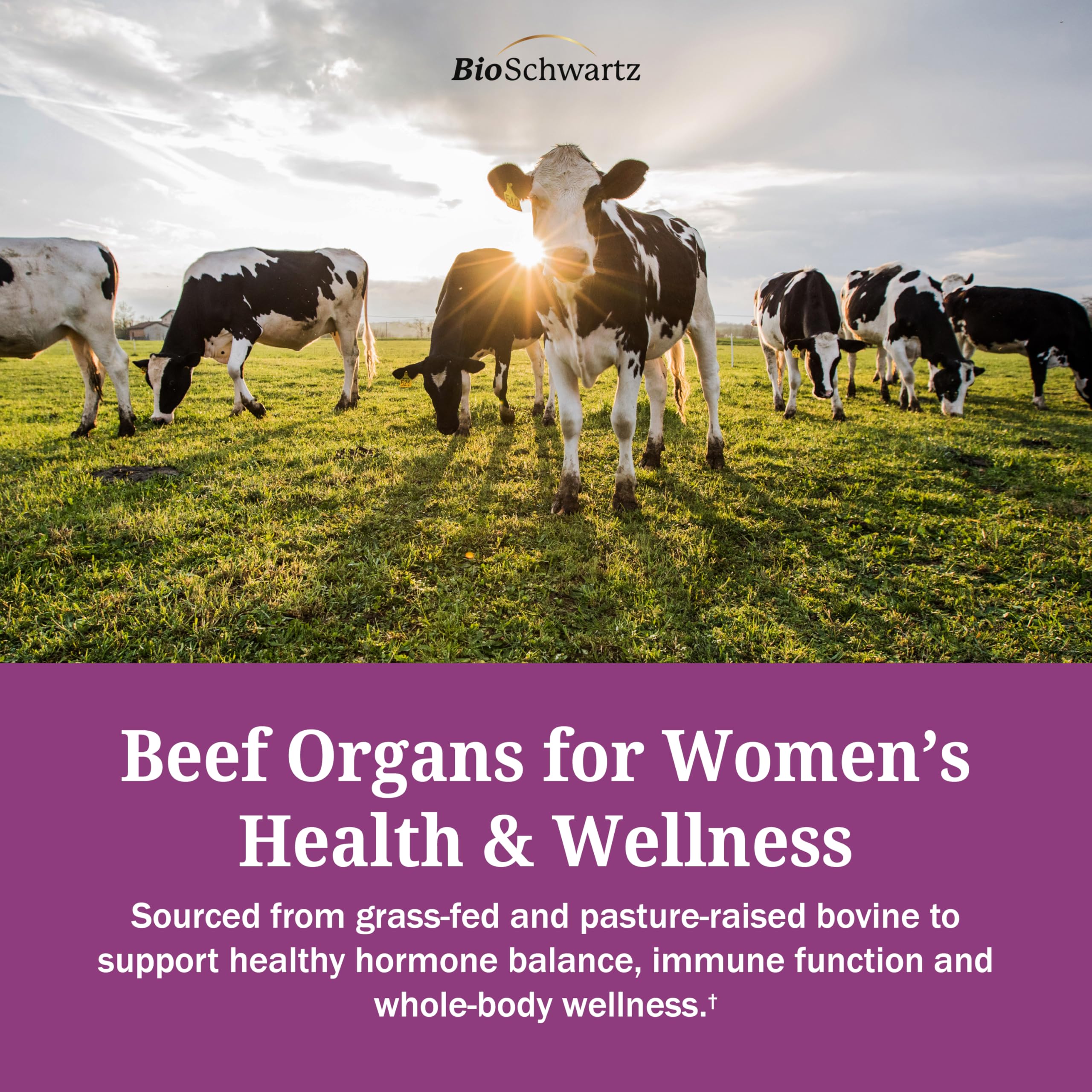 BioSchwartz Primal Beef Organ Supplement for Women - 60 Capsules - Grass-Fed & Pasture-Raised - Supports Healthy Hair Skin and Nails, Hormone Balance - with Bovine Liver, Kidney, Heart, Uterus Powder BioSchwartz Au supplements
