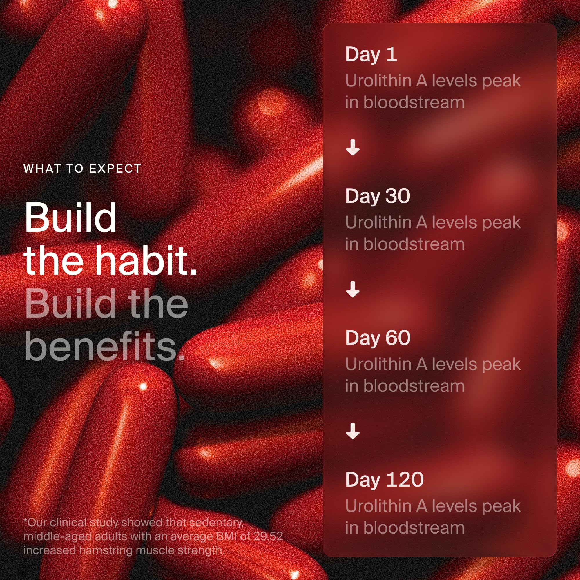 Timeline Mitopure Urolithin A Supplement Softgels - Clinically Proven Support for Healthy Aging and Cellular Renewal - Mitoceutical for Muscle Support and Longevity Timeline Au supplements