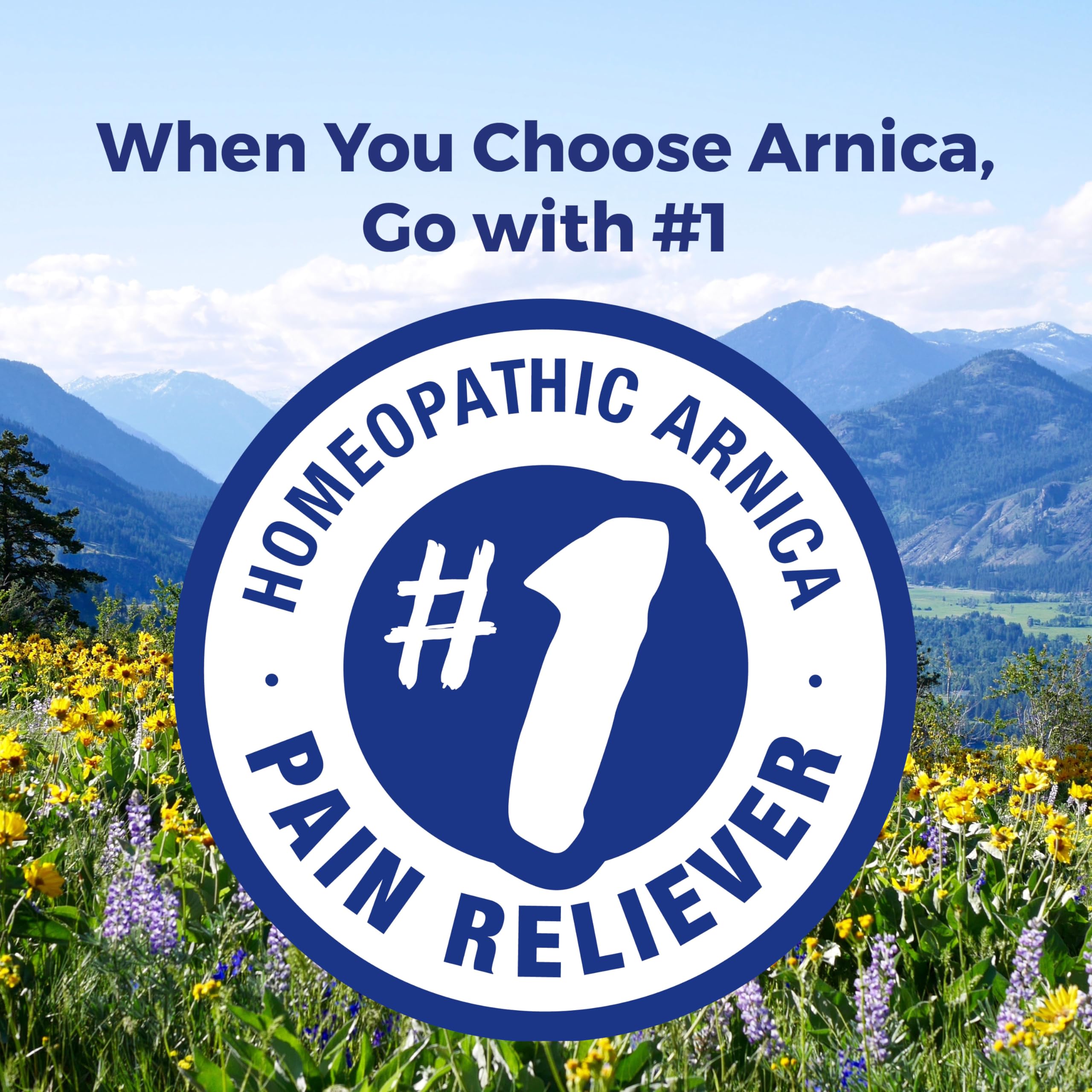 Boiron Arnica Montana 30X Homeopathic Medicine for Relief from Muscle Pain, Muscle Stiffness, Swelling from Injury, and Discoloration from Bruises - 3 Count (240 Pellets) Boiron Au supplements