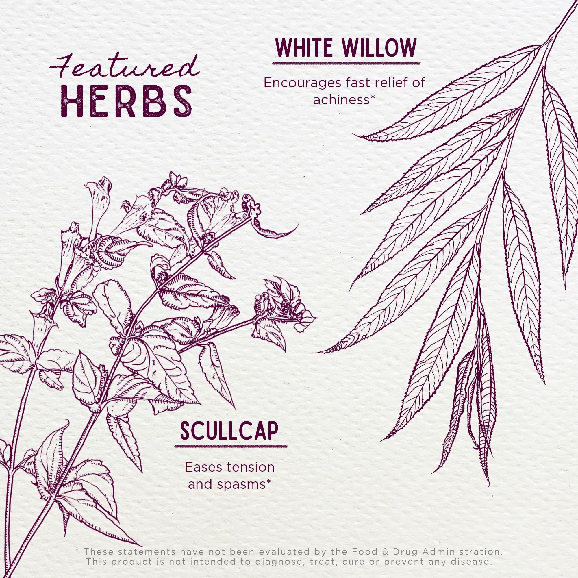 WishGarden Herbs Cranial Comfort - Plant-Based Herbal Supplement with White Willow Bark Extract, Lavender & Scullcap Supports Release of Head, Neck & Shoulders Tension, Stress & Muscle Tension, 4oz WishGarden Au supplements