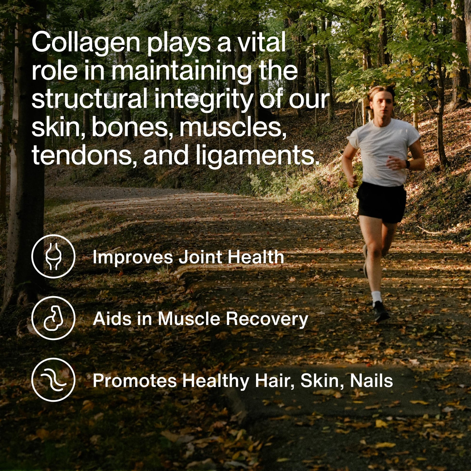 Momentous Grass-Fed Collagen Peptides Powder - Collagen Protein Powder with Fortigel & Vitamin C for Hair, Skin, Nails, & Joint Health Support - NSF Certified for Sport - Packaging May Vary Momentous Au supplements