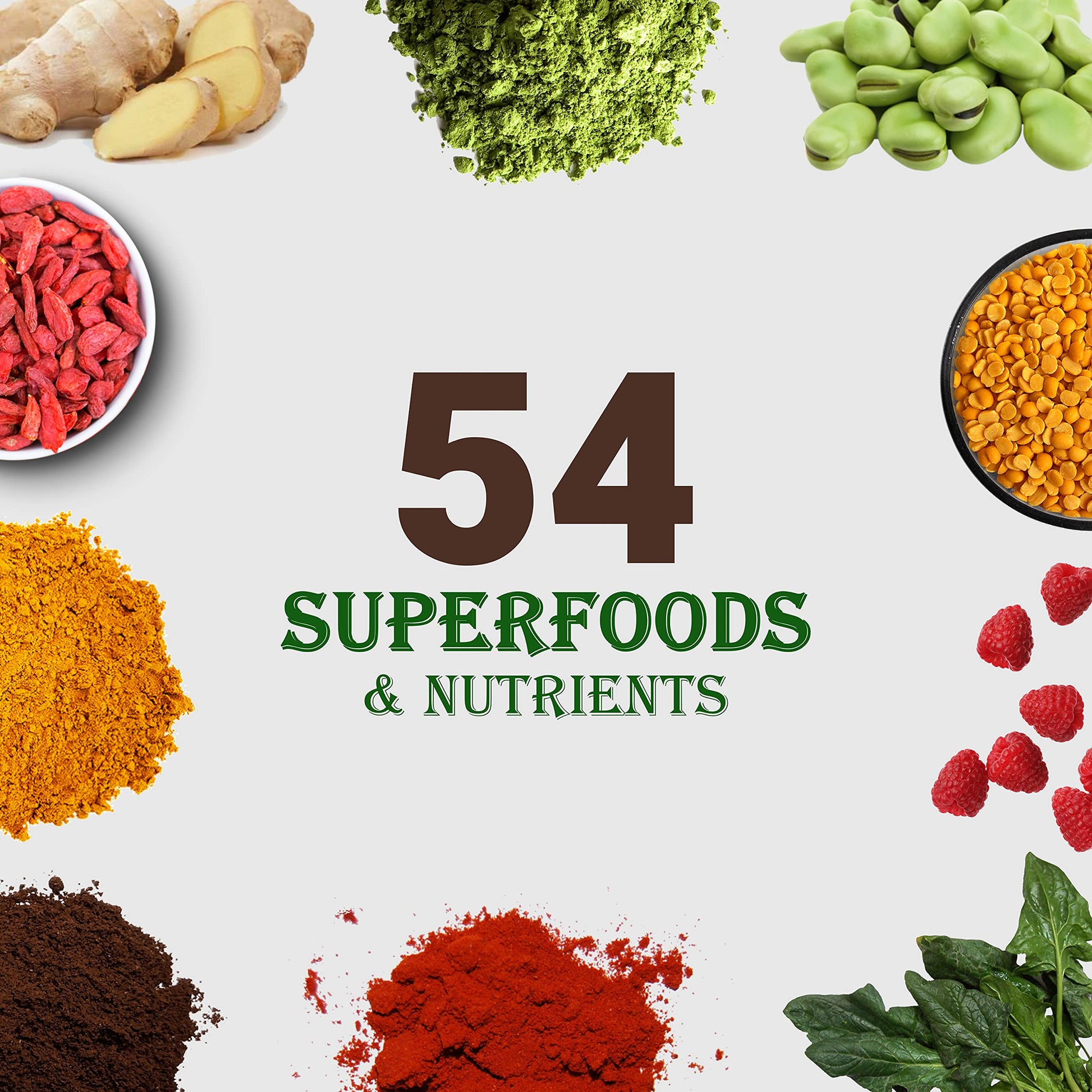 UpNourish Chocolate Vegan Protein Powder 54 Superfoods Powder,1.5 Billion CFU Probiotics 21g Plant Based Protein,No Sugar No Dairy No GMO Dairy Free,Meal Replacement Shake Keto-Friendly Low-Carb Diet,15 Servings UpNourish Au supplements