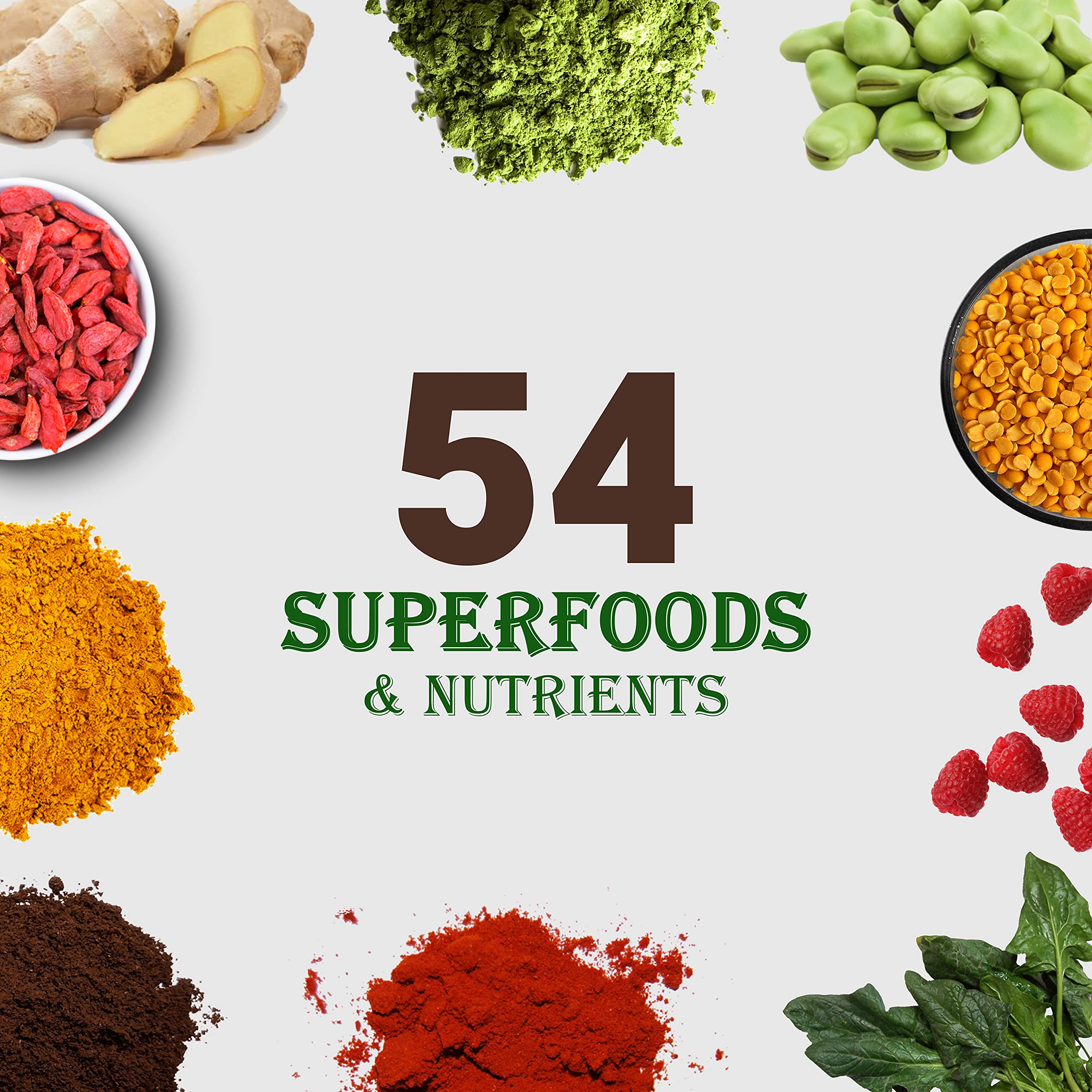 UpNourish Chocolate Vegan Protein Powder 54 Superfoods Powder,1.5 Billion CFU Probiotics 21g Plant Based Protein,No Sugar No Dairy No GMO Dairy Free,Meal Replacement Shake Keto-Friendly Low-Carb Diet,15 Servings UpNourish Au supplements