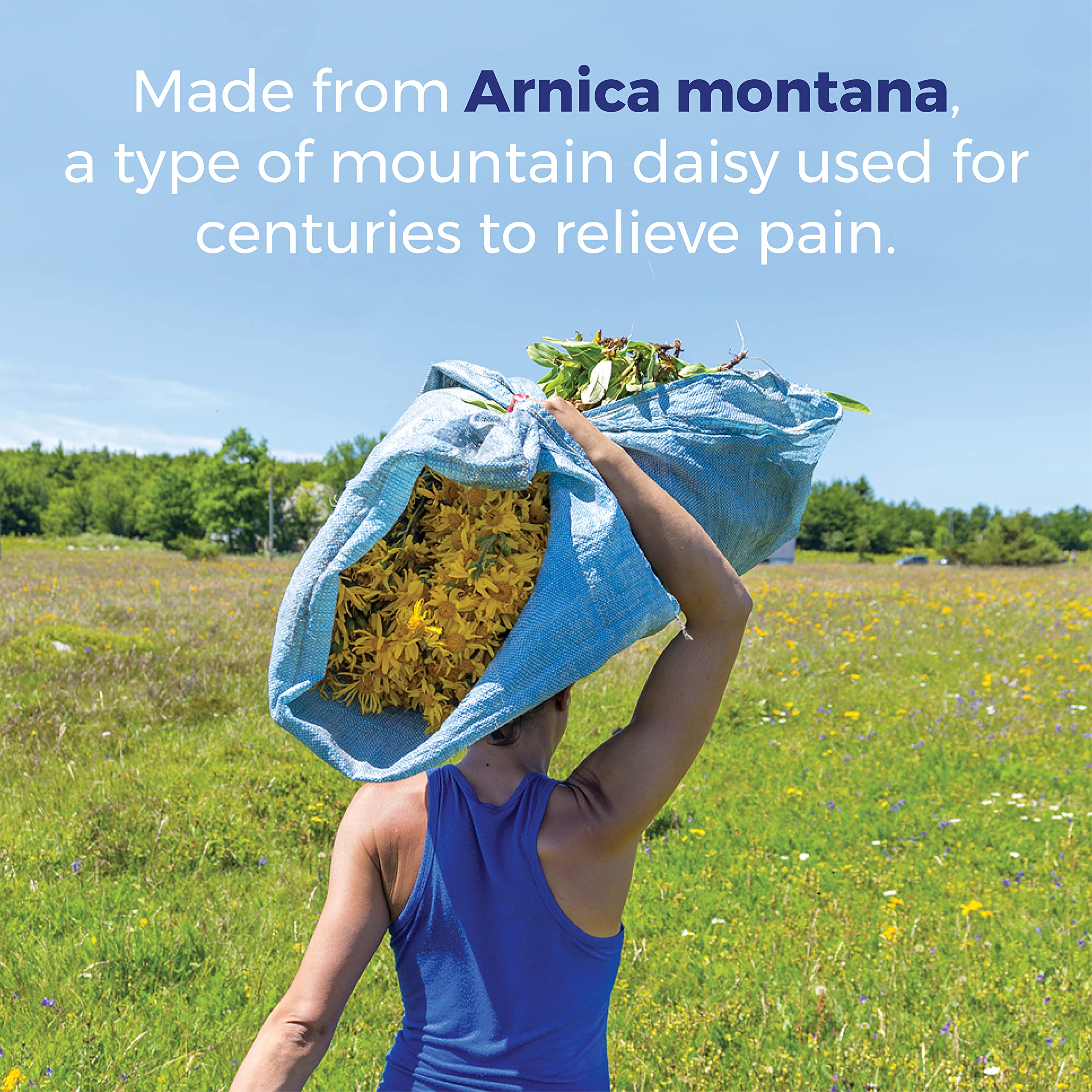 Boiron Arnica Montana 30X Homeopathic Medicine for Relief from Muscle Pain, Muscle Stiffness, Swelling from Injury, and Discoloration from Bruises - 3 Count (240 Pellets) Boiron Au supplements