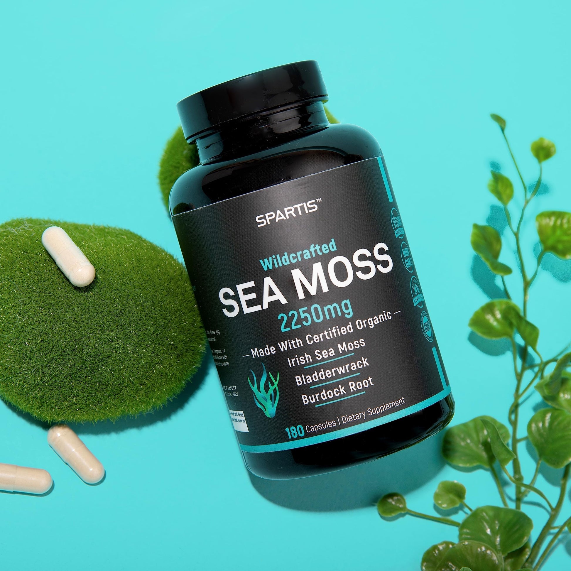 Certified Organic Sea Moss Capsules 2250mg Wildcrafted Irish Sea Moss Burdock Root SPARTIS Au supplements