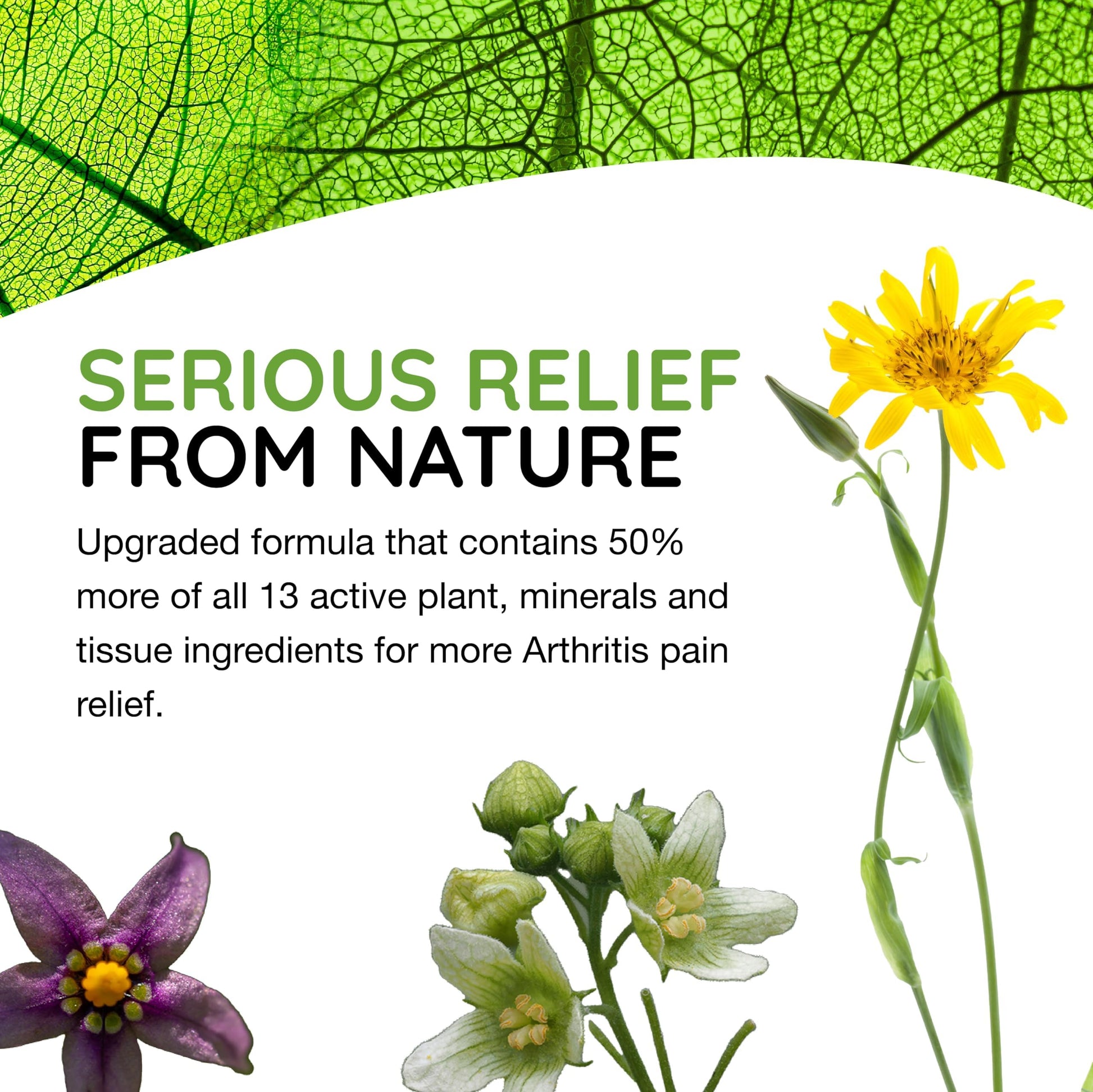 T-Relief Extra Strength Arthritis Pain Reliever Arnica +12 Natural Medicines for Joint Soreness Stiffness Aches, Quick Dissolving Pain Relief for Women & Men - 100 Tablets MediNatura Au supplements