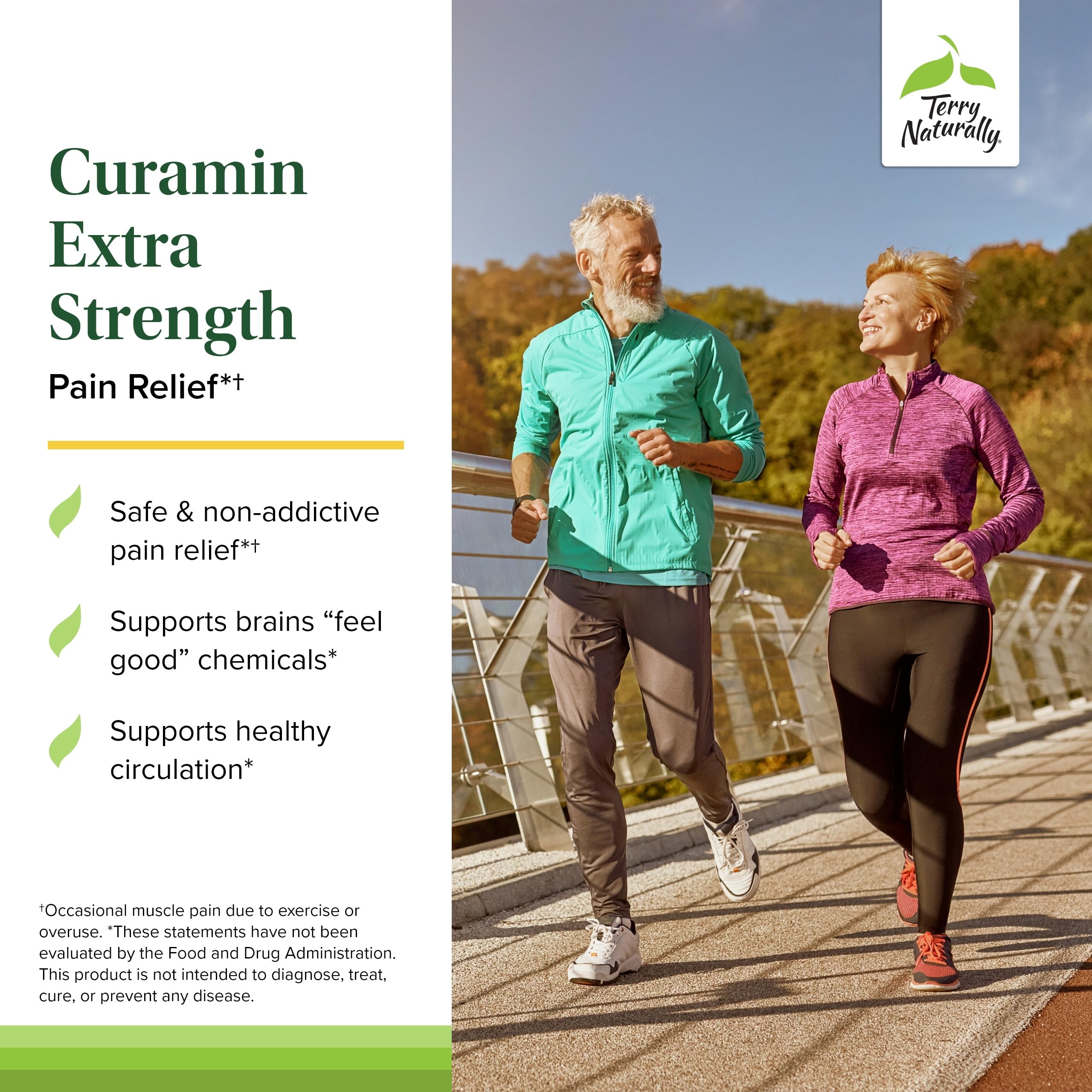 Terry Naturally Curamin Extra Strength - Curcumin & Boswellia for Healthy Circulation Support - Turmeric Supplement to Aid Joints, Muscle Health & Endorphin Production - 120 Tablets (Pack of 2) Terry Naturally Au supplements