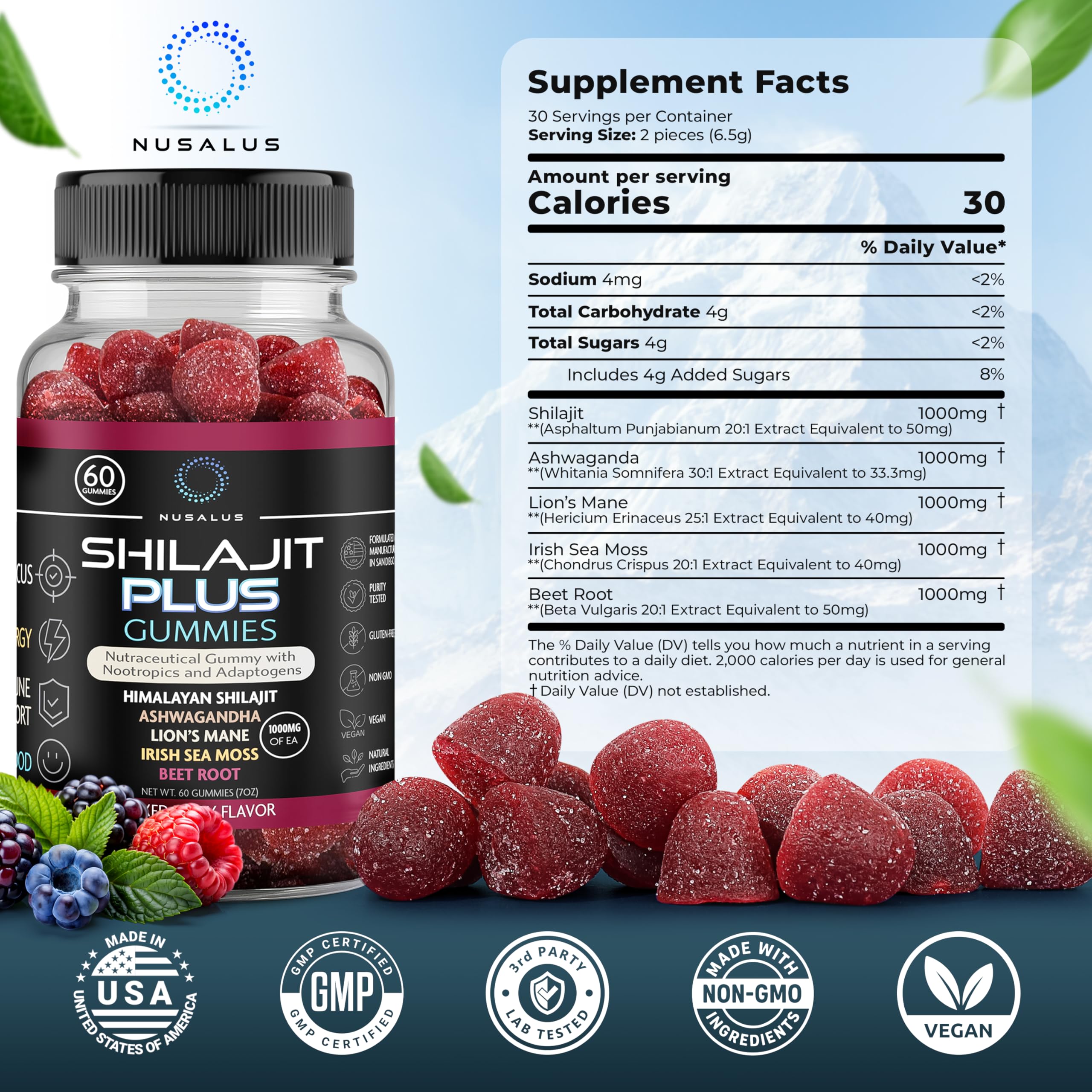 Nusalus Shilajit Plus Gummies – 5-in-1 Adaptogen Energy & Focus Supplement | Shilajit, Ashwagandha, Lion’s Mane, Sea Moss & Beet Root | Natural Energy & Stress Support | Made in USA, Vegan, 60ct Nusalus Au supplements